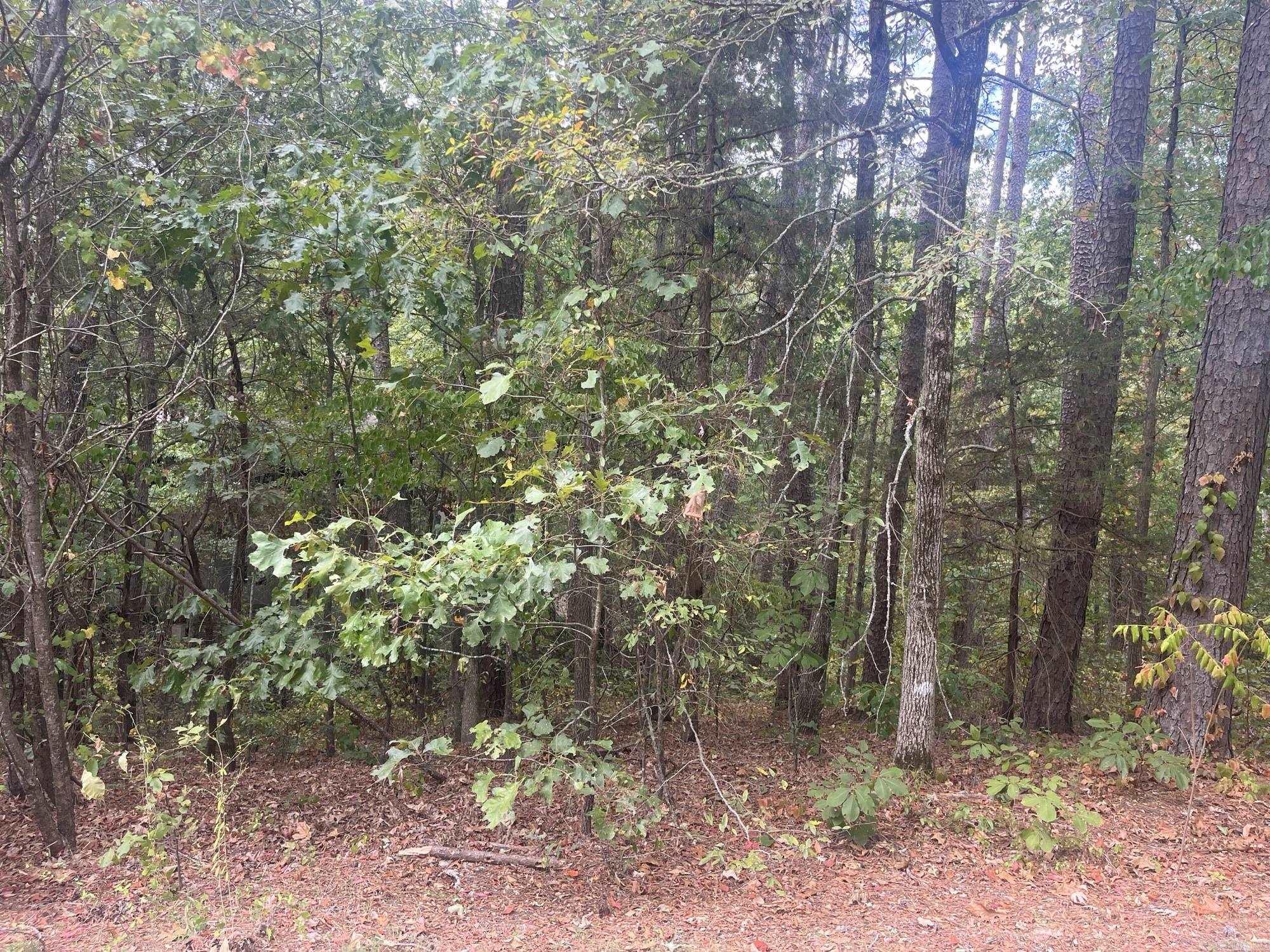 14 Guindola Circle Property Photo 5