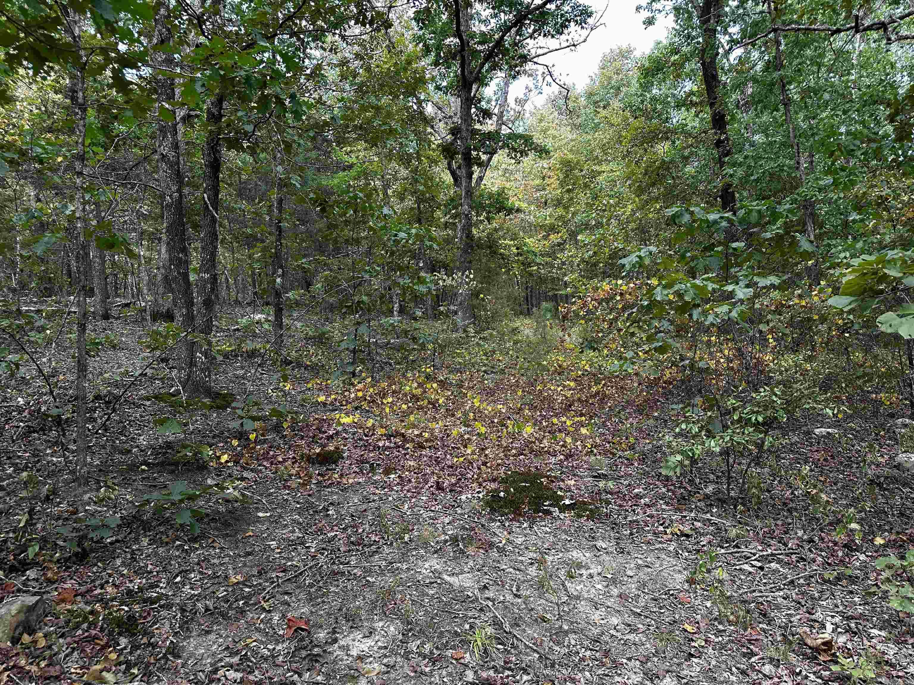 000 S 5 Highway Property Photo 2