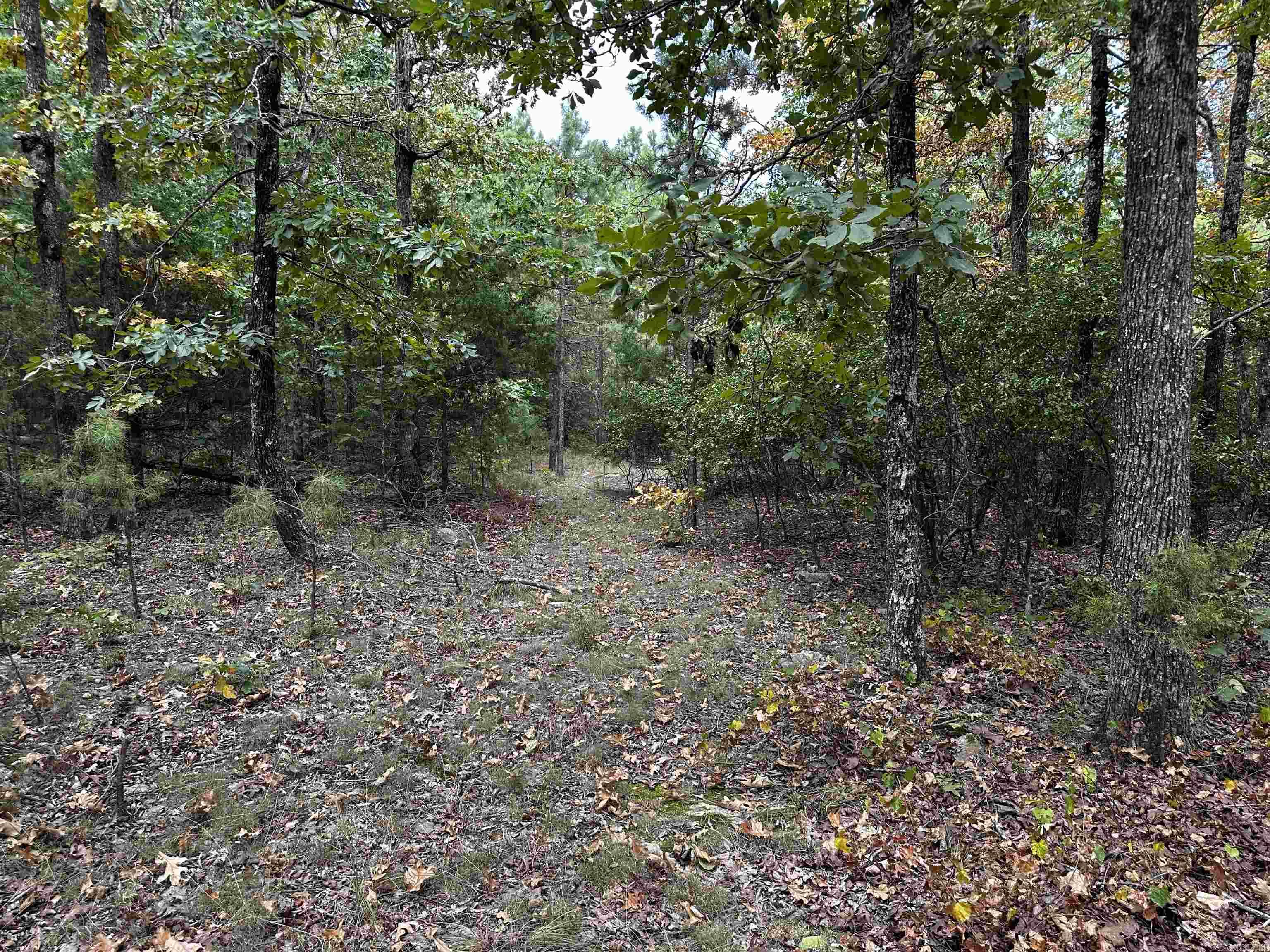 000 S 5 Highway Property Photo 11