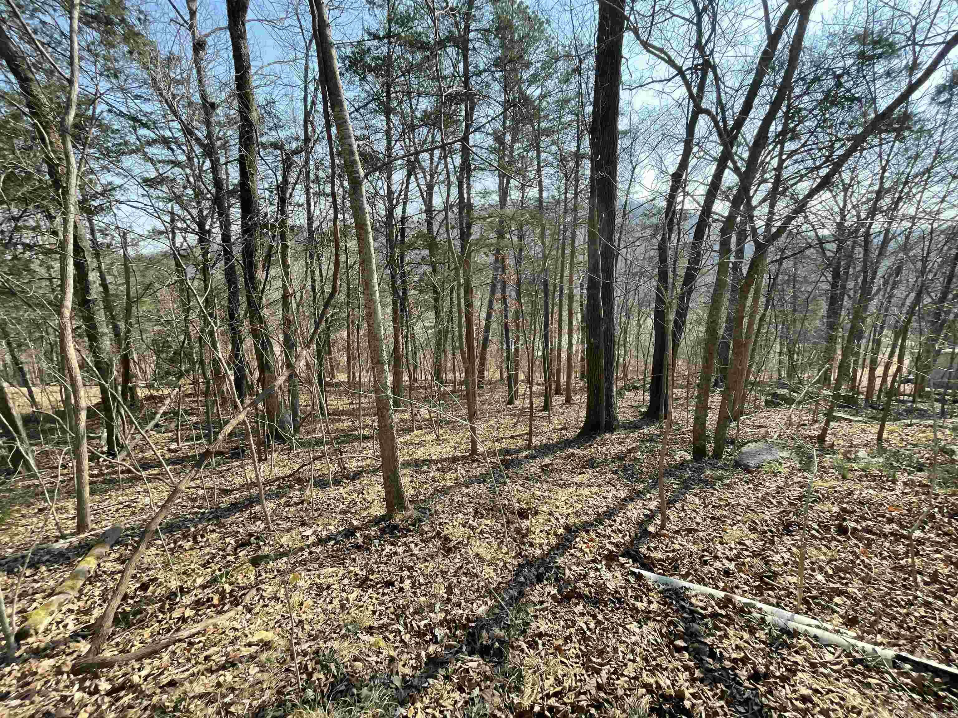 0000 Peace Mountain Road Property Photo 3