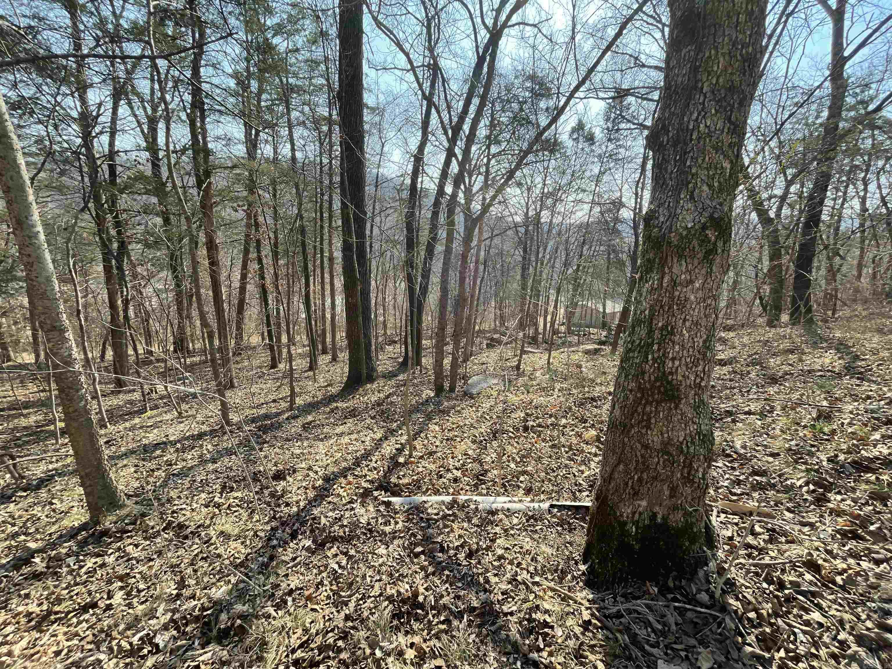 0000 Peace Mountain Road Property Photo 4