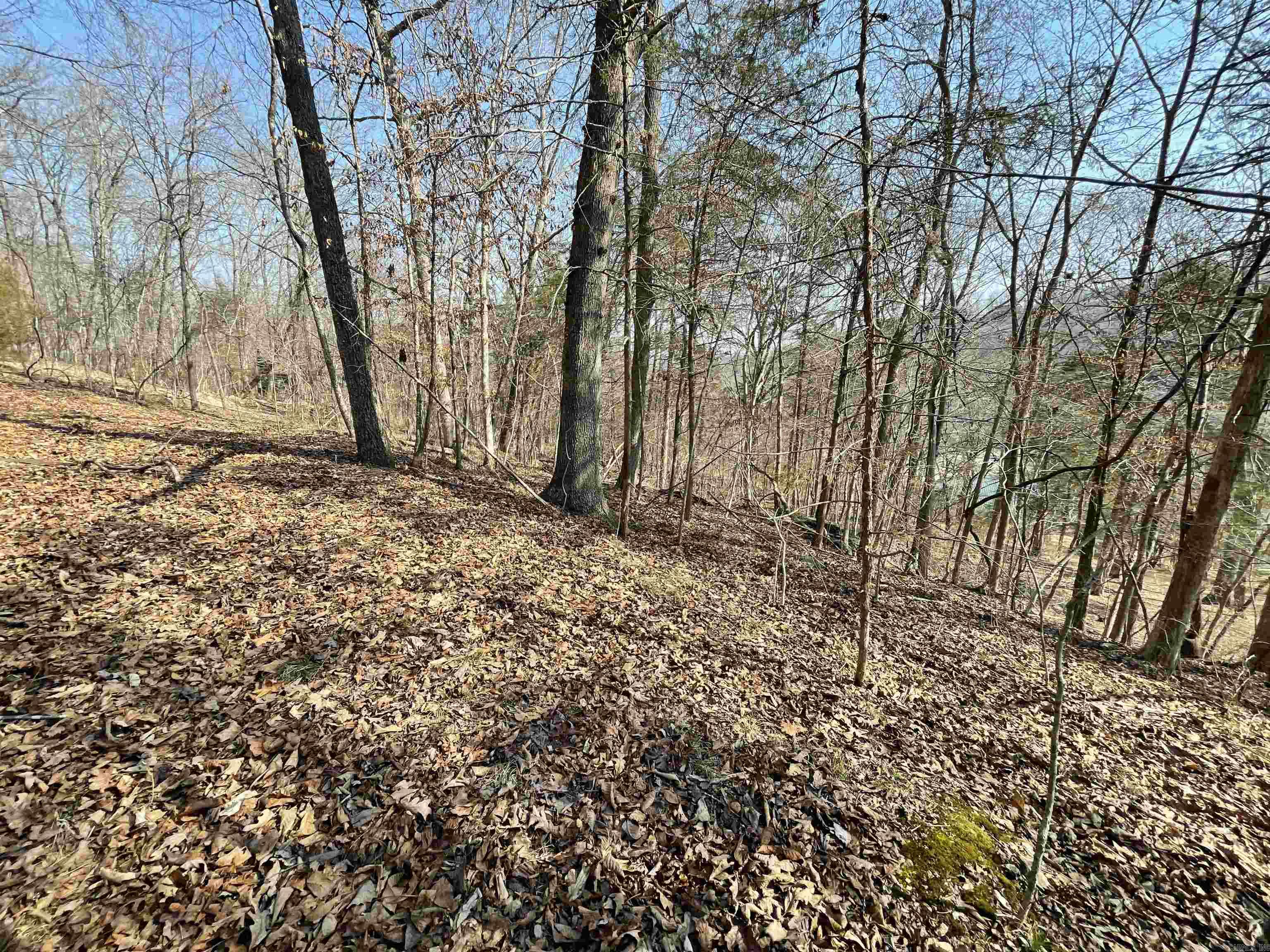 0000 Peace Mountain Road Property Photo 5