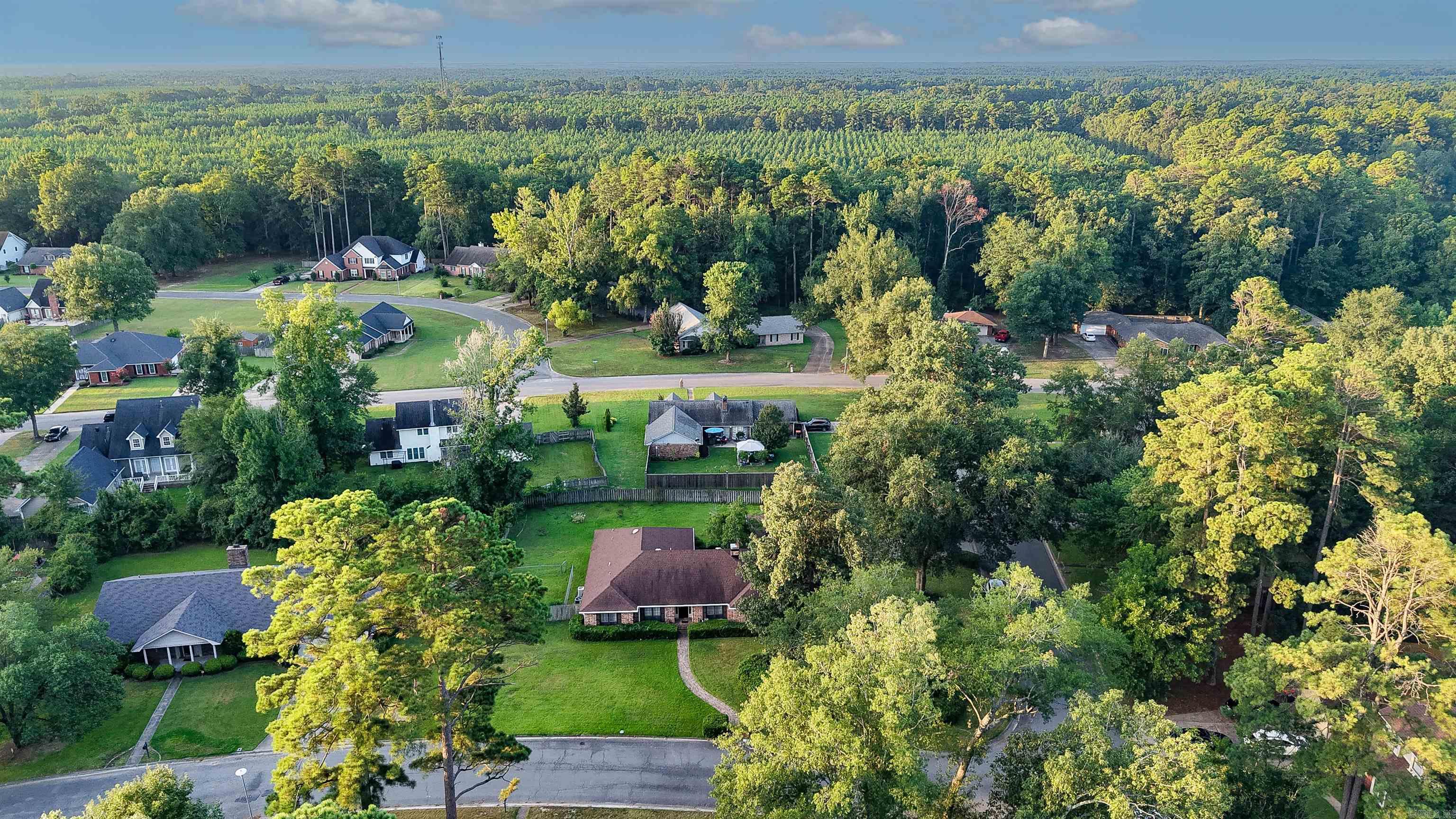 1006 Rosswood Colony Drive Property Photo 40