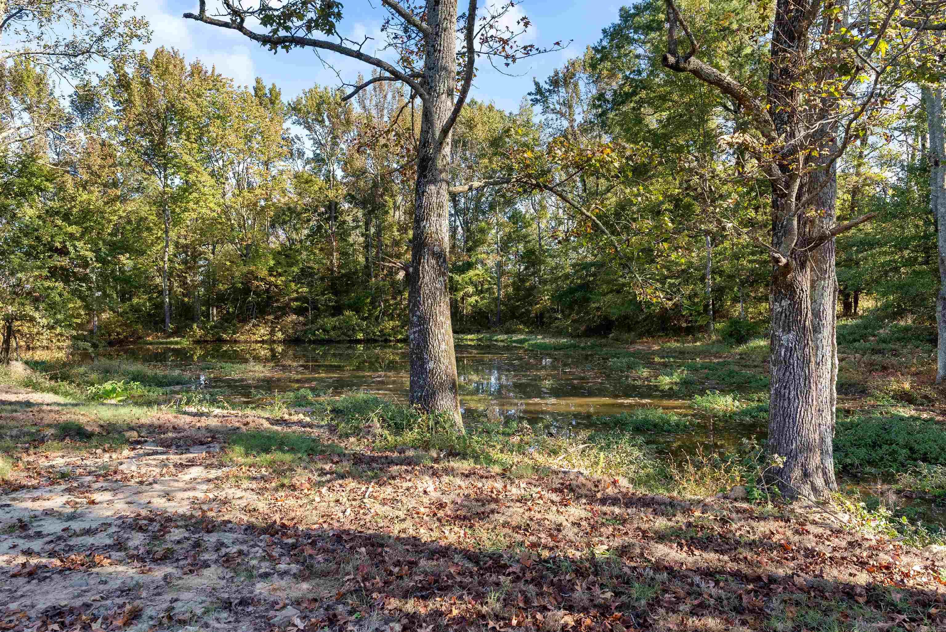 2535 Covington Road Property Photo 4