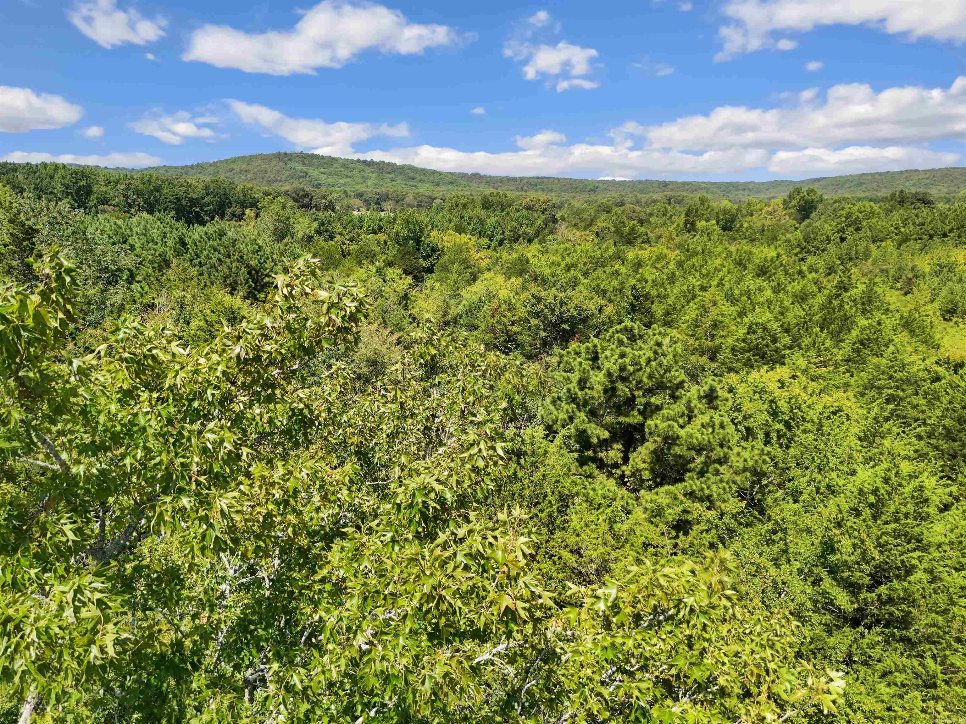 2931 N Shelton Road Property Photo 48