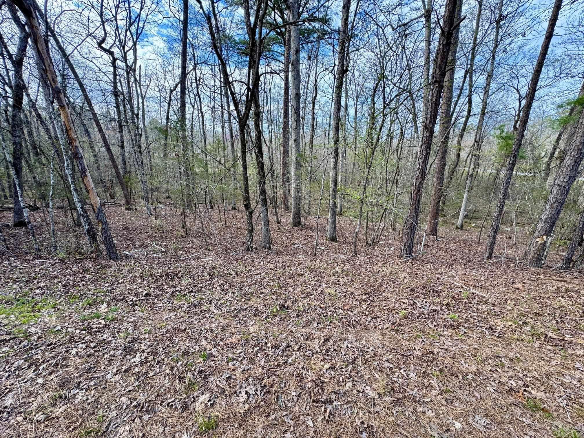 3 Saldana Way Property Photo 1