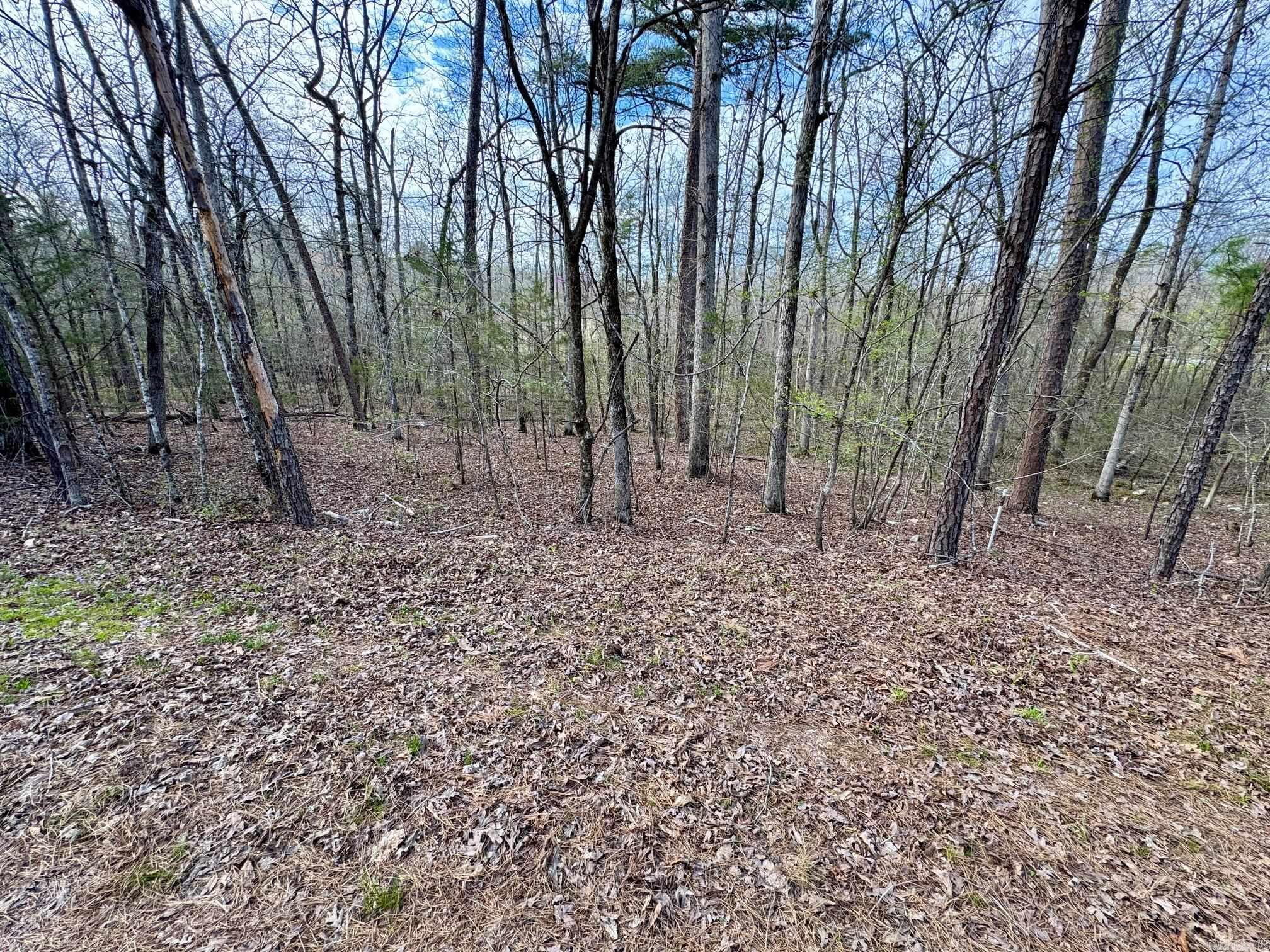 3 Saldana Way Property Photo 2