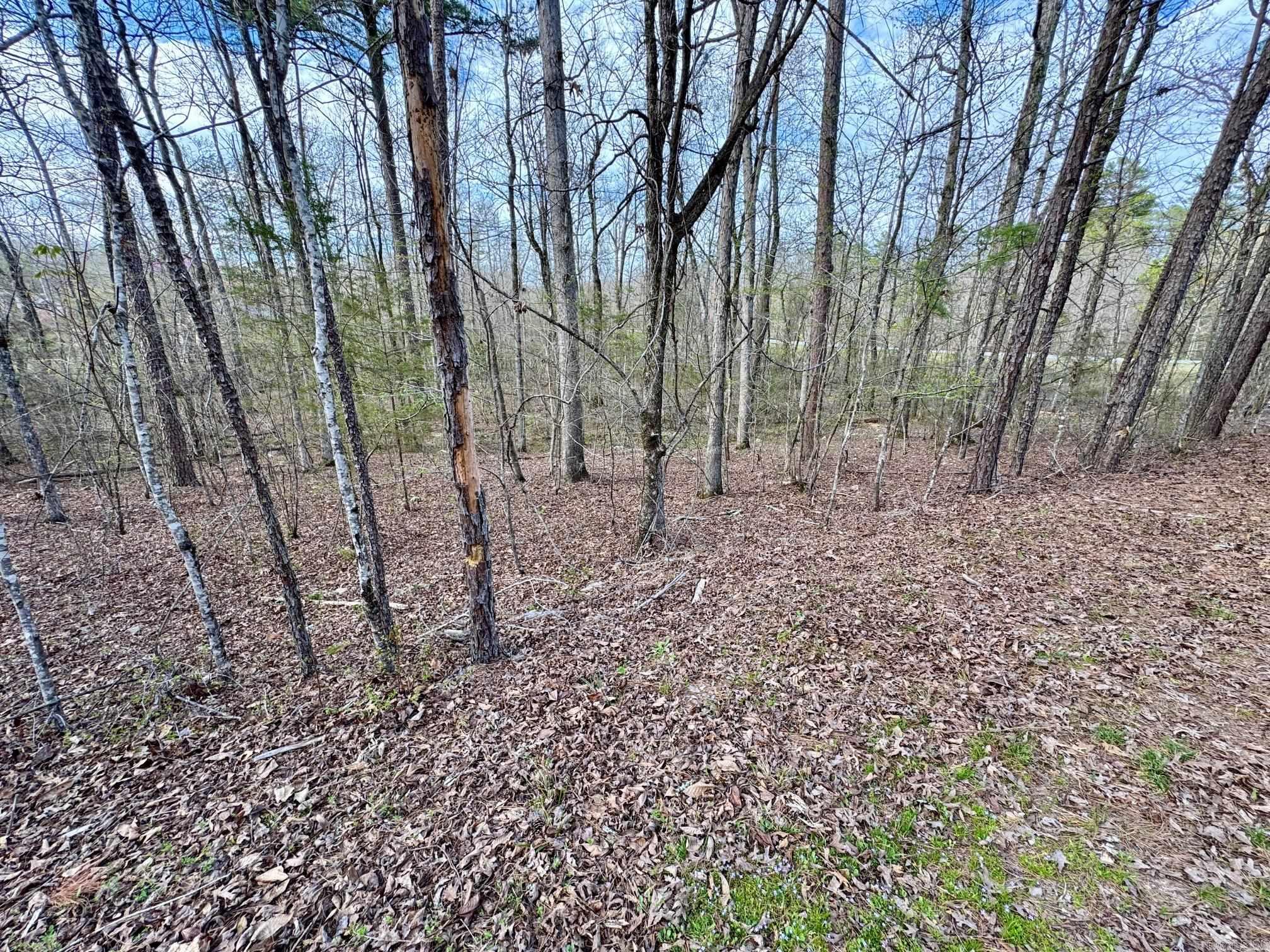 3 Saldana Way Property Photo 6