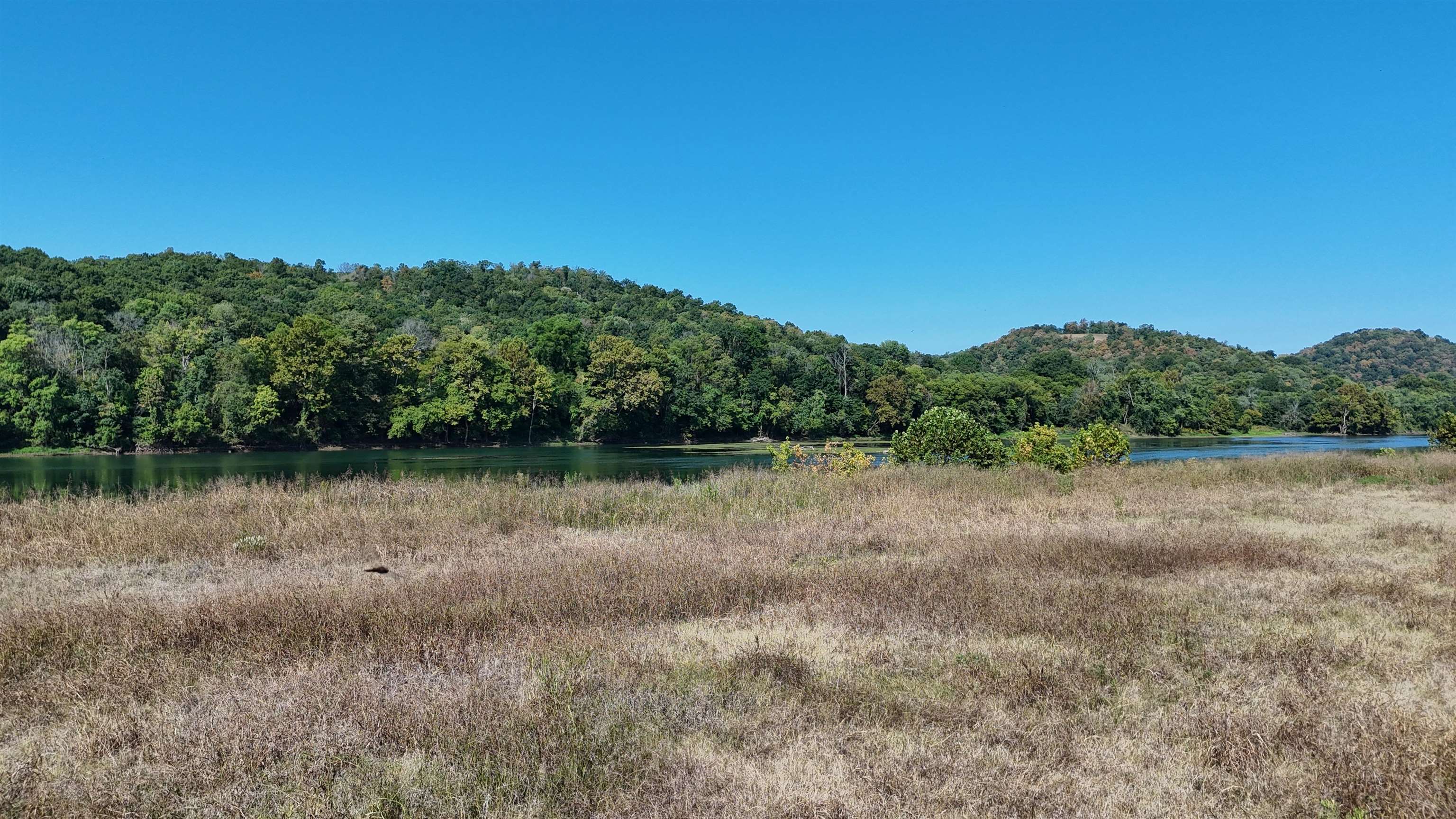 000 White River Run Property Photo 7
