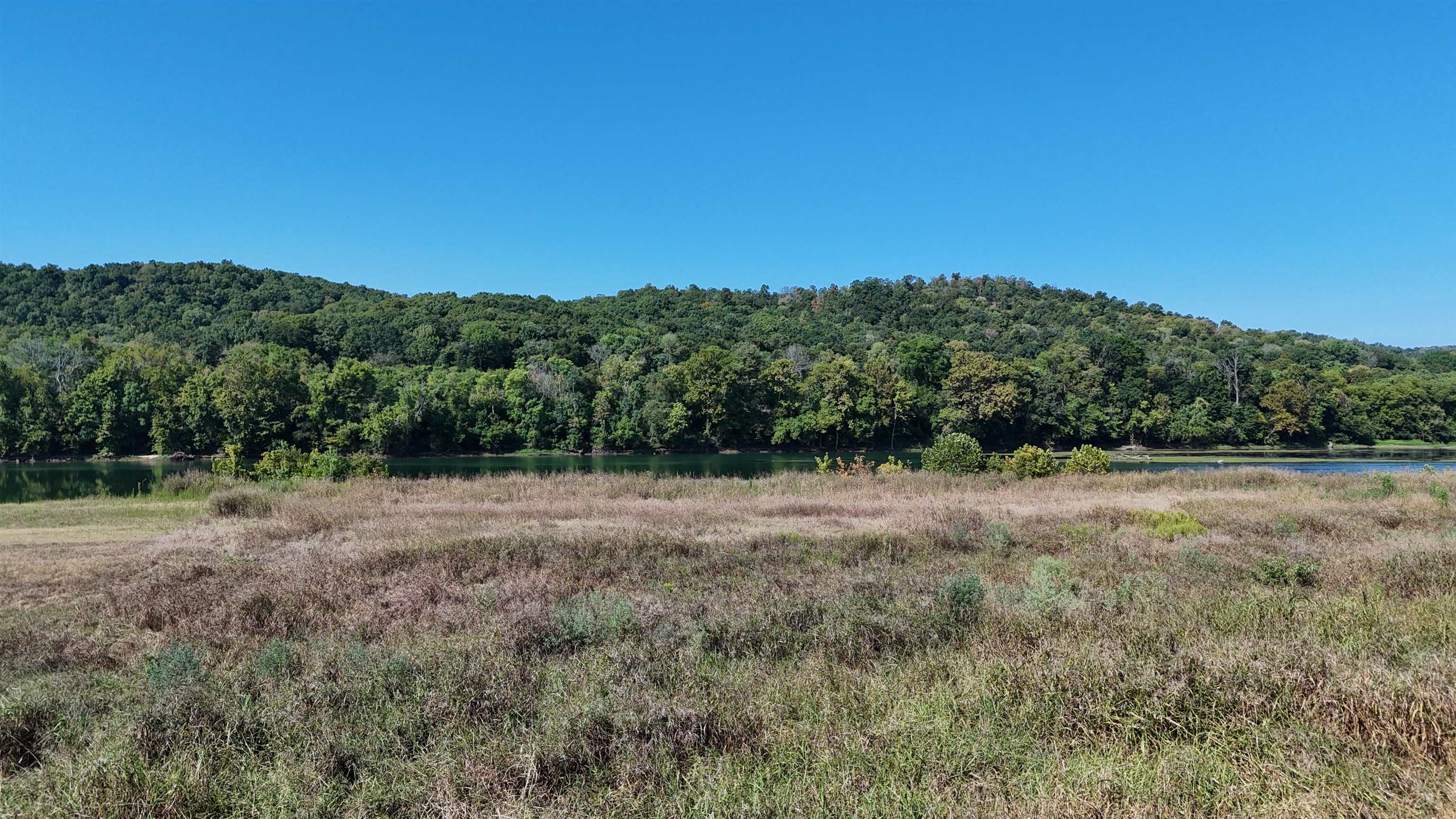 000 White River Run Property Photo 9