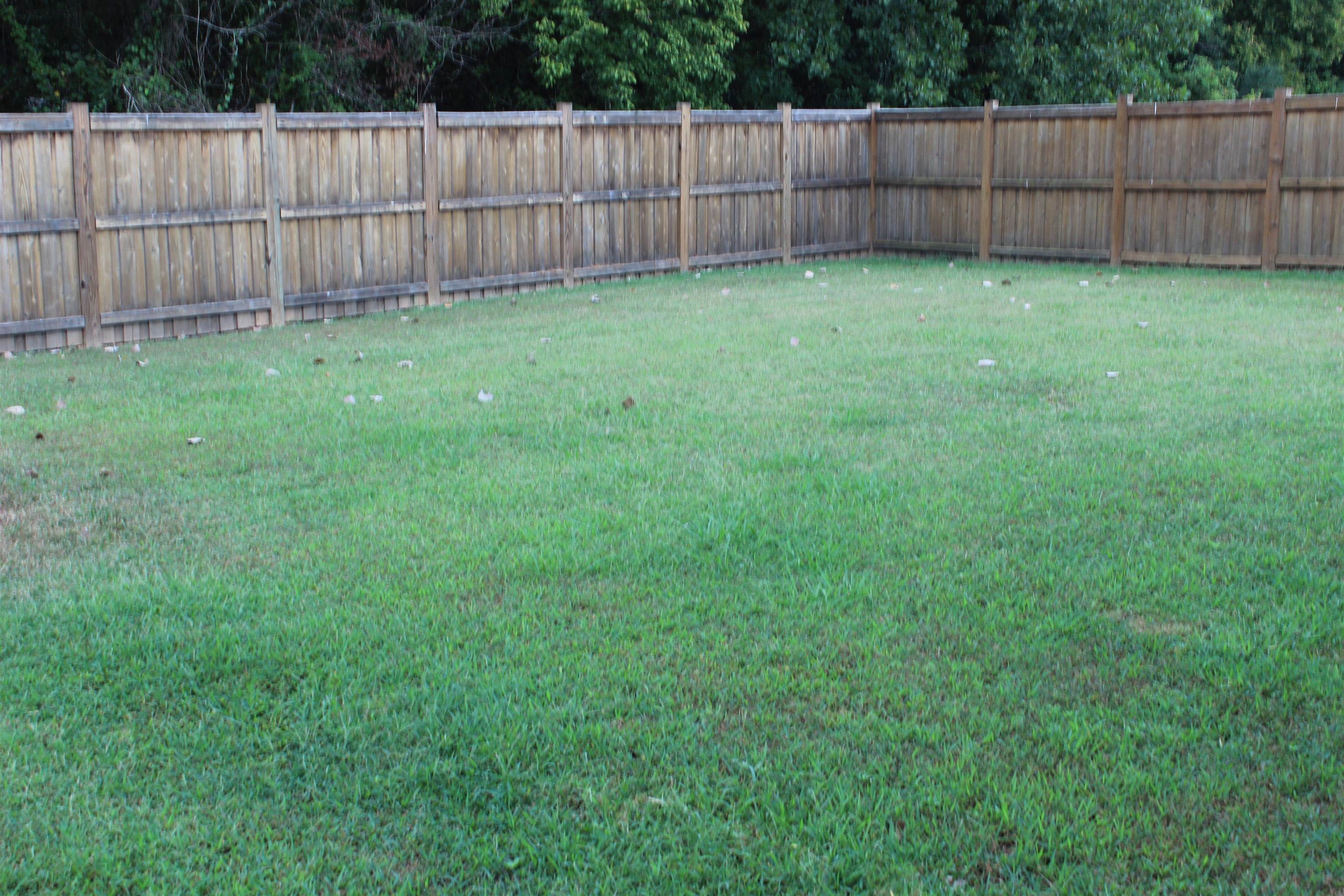 195 Joe Baker Road Property Photo 46