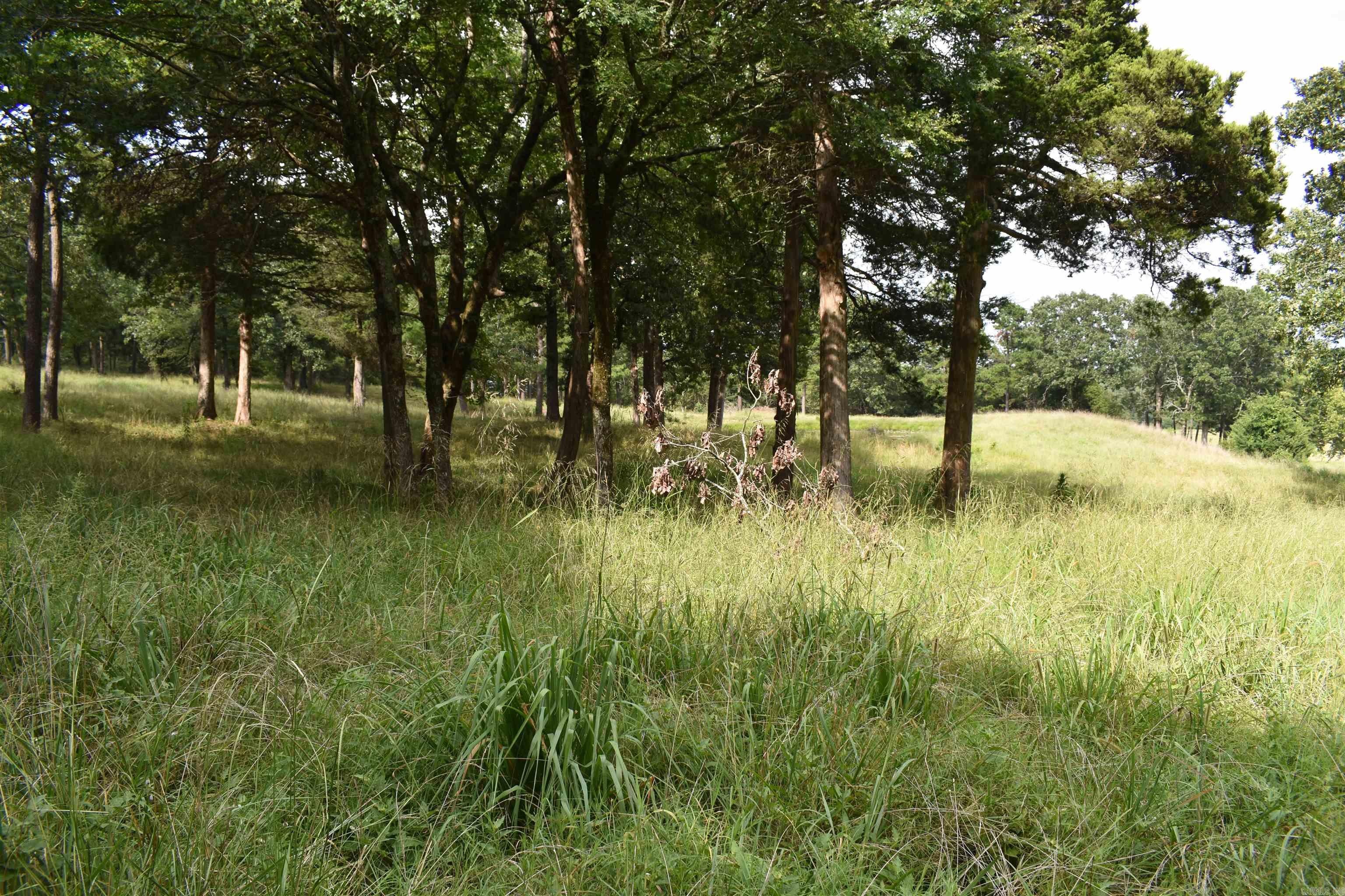 16948 Rydell Lane Property Photo 48