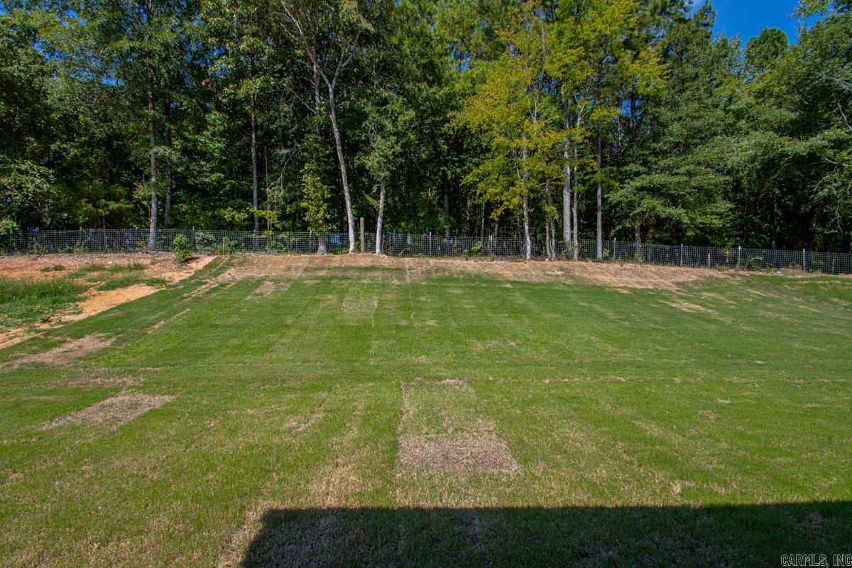 7065 Cold Creek Drive Property Photo 33