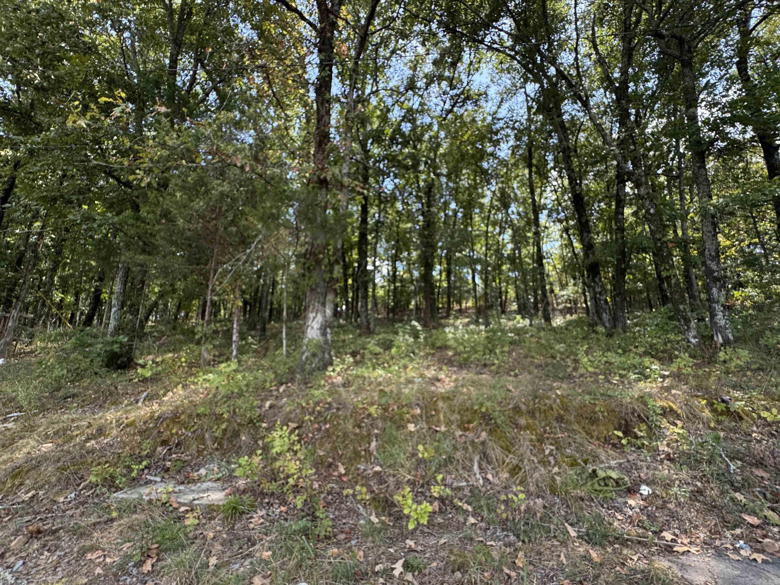 12213 & 12303 Sumner Cemetery Road Property Photo 19