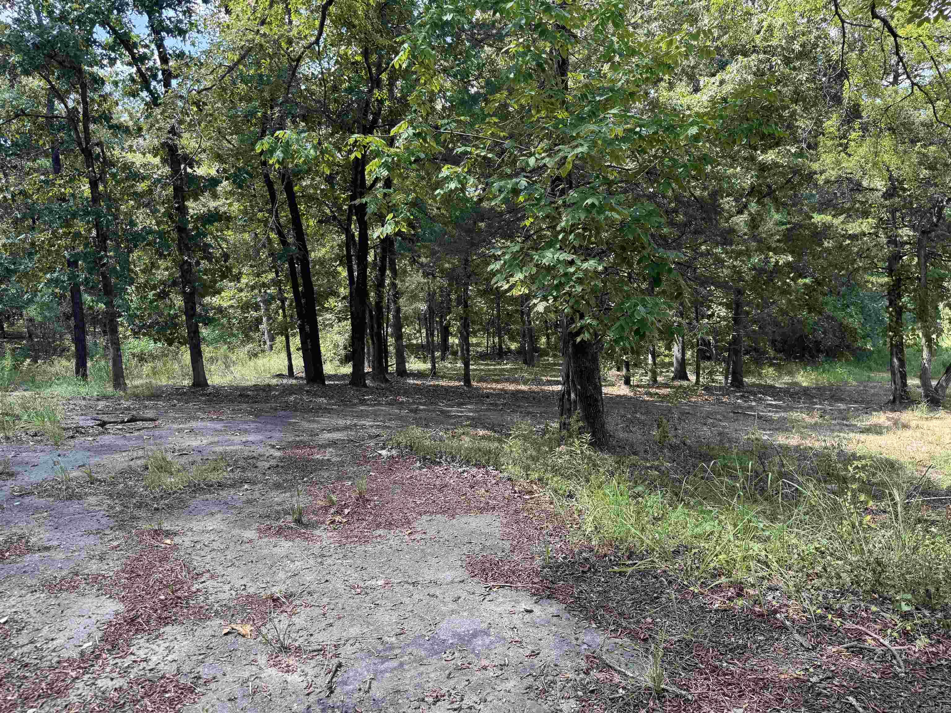 12213 & 12303 Sumner Cemetery Road Property Photo 30