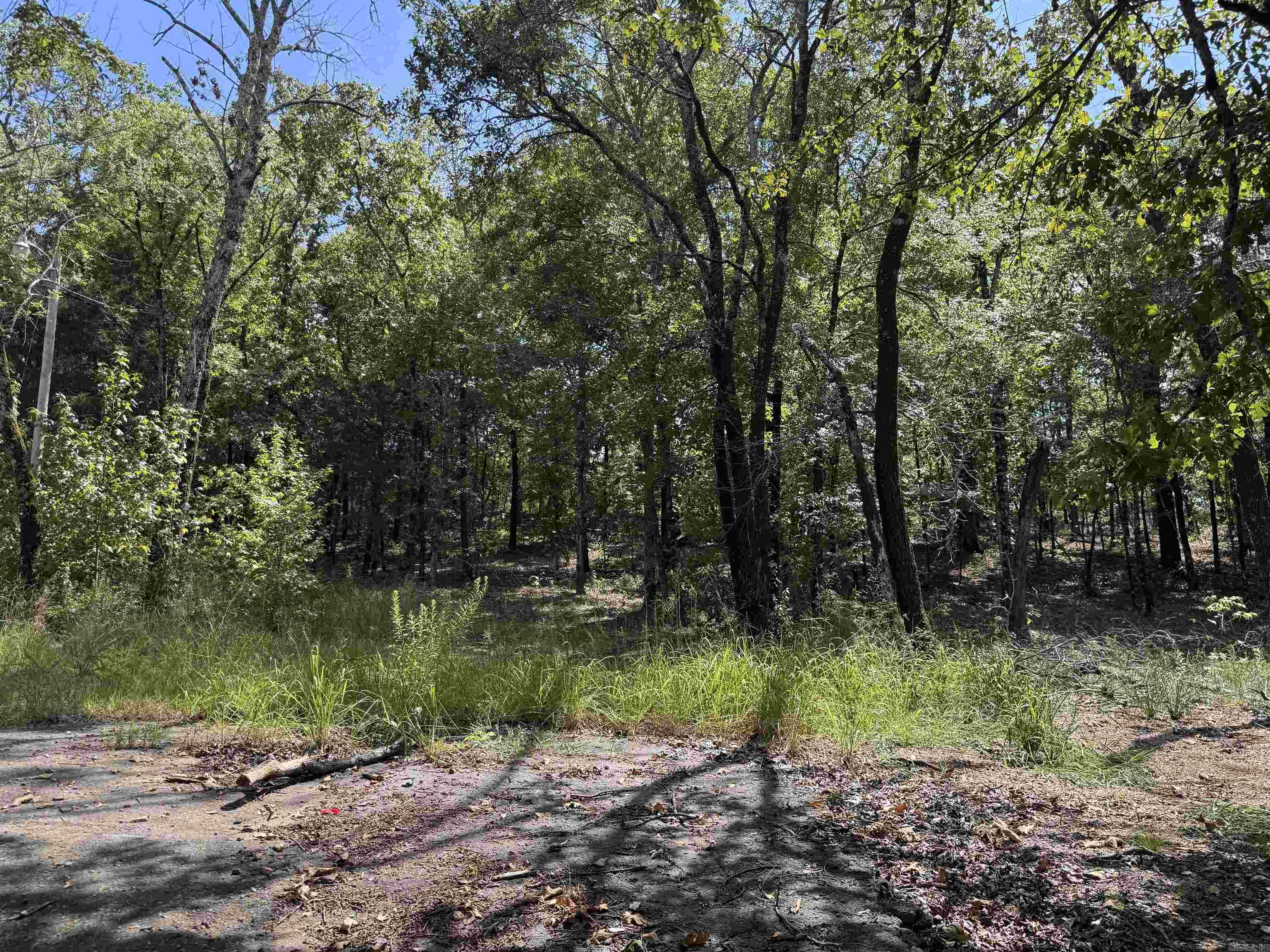 12213 & 12303 Sumner Cemetery Road Property Photo 32