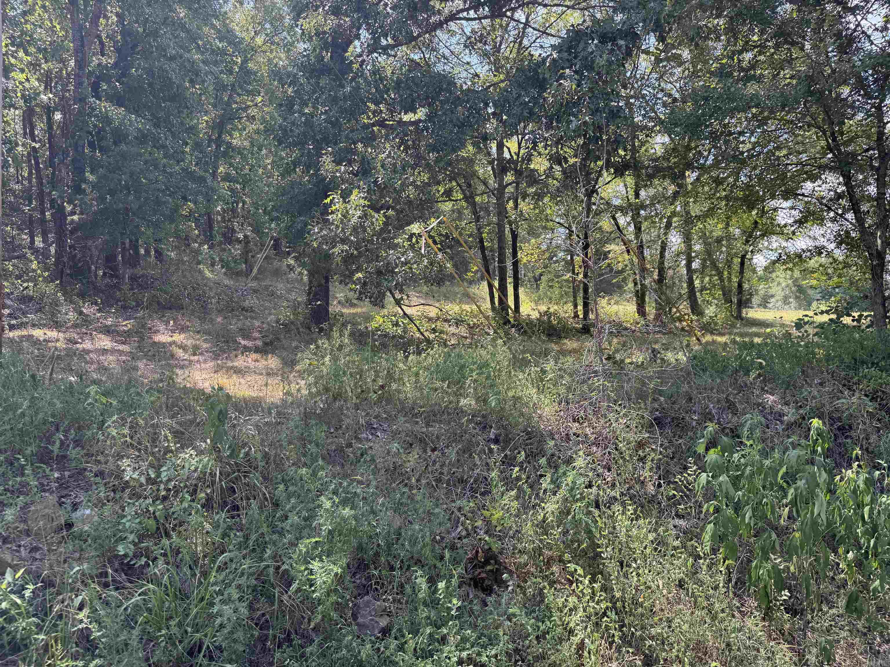 12213 & 12303 Sumner Cemetery Road Property Photo 33
