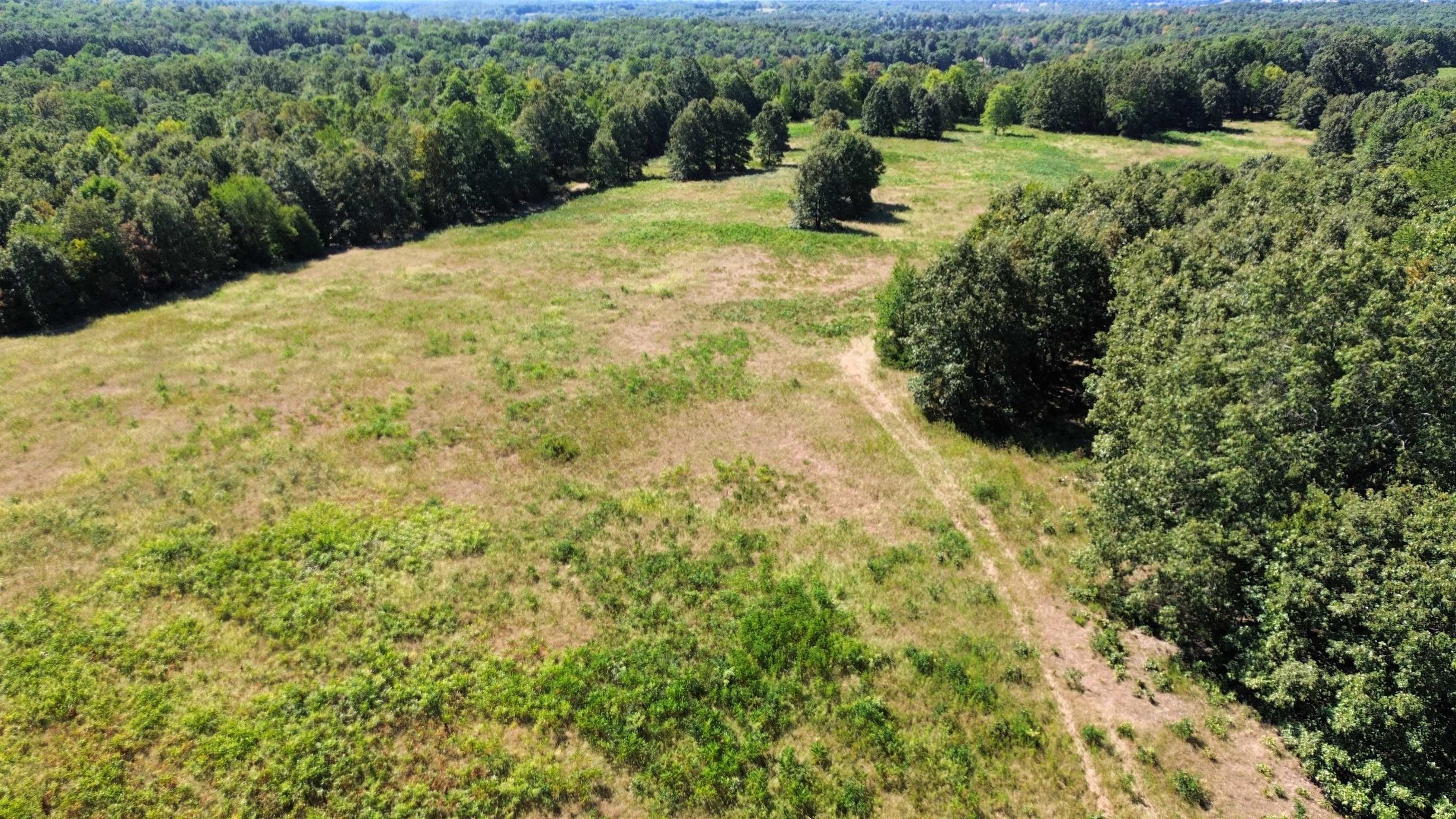 352 Hwy 62/412 Property Photo 5