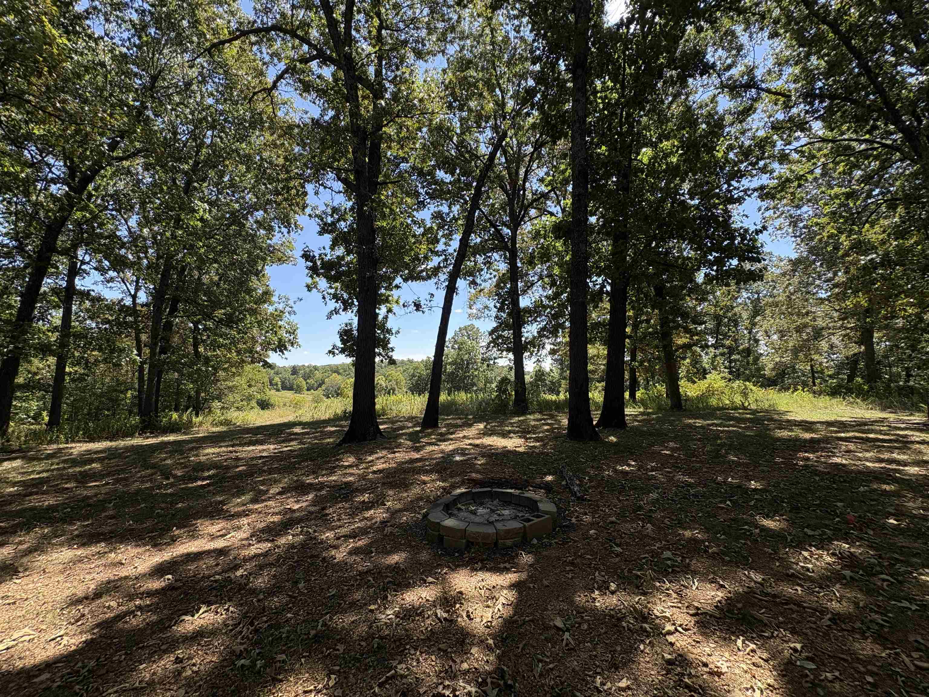 352 Hwy 62/412 Property Photo 40