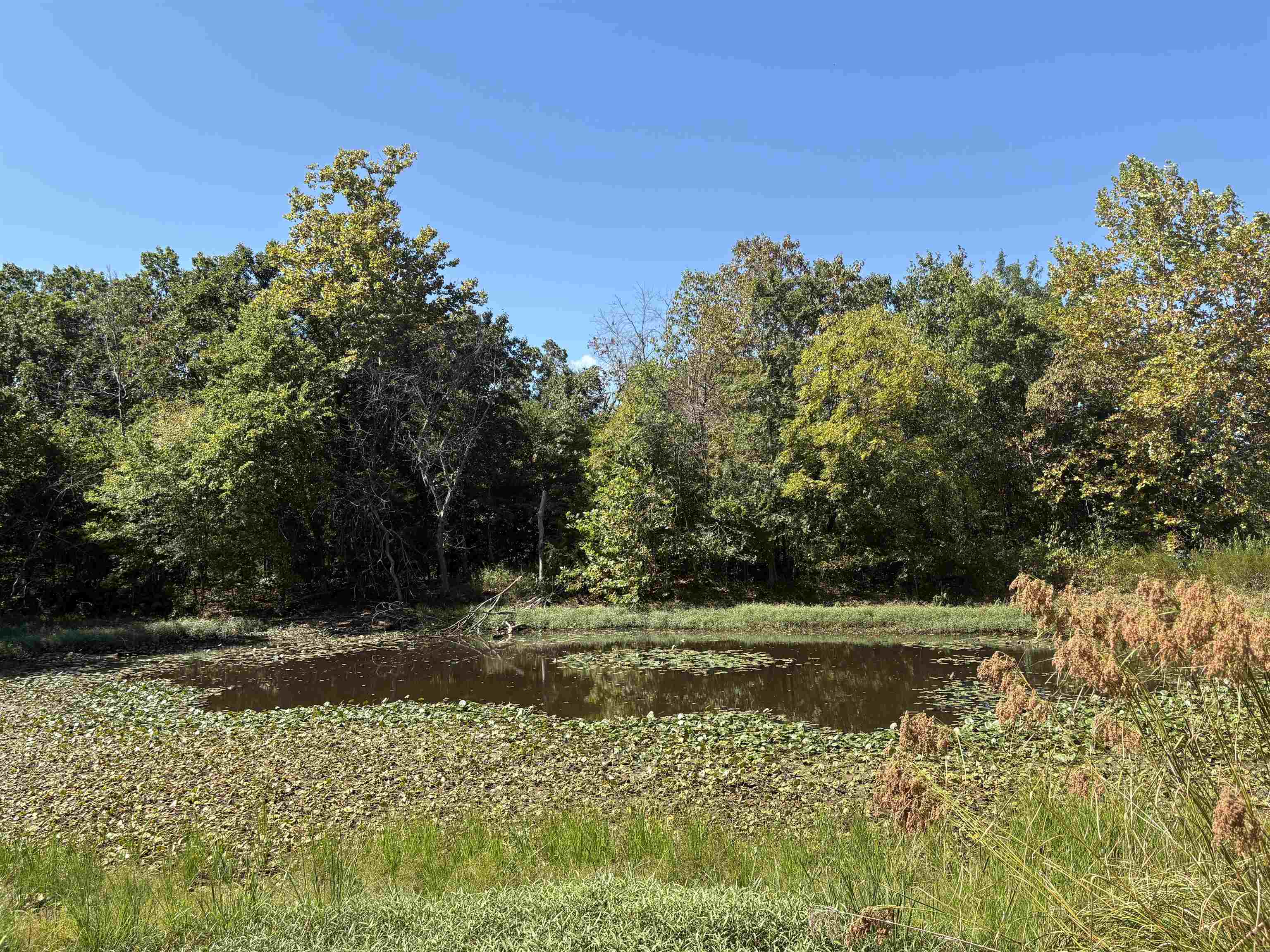 352 Hwy 62/412 Property Photo 41