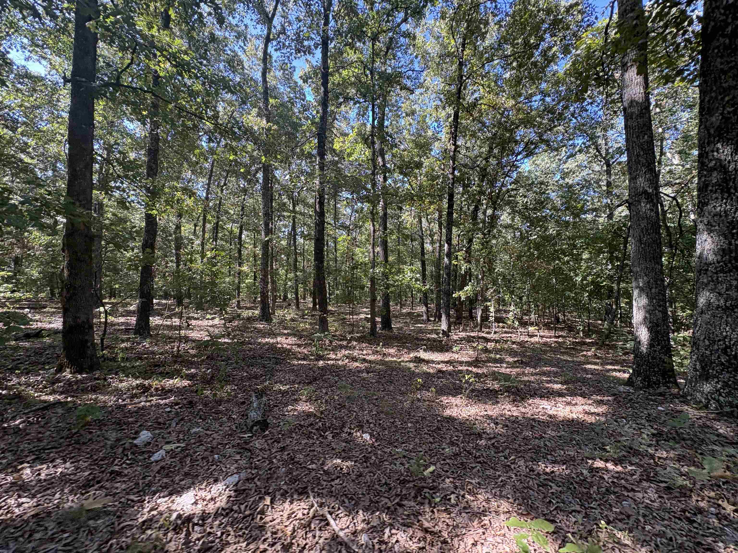 352 Hwy 62/412 Property Photo 42