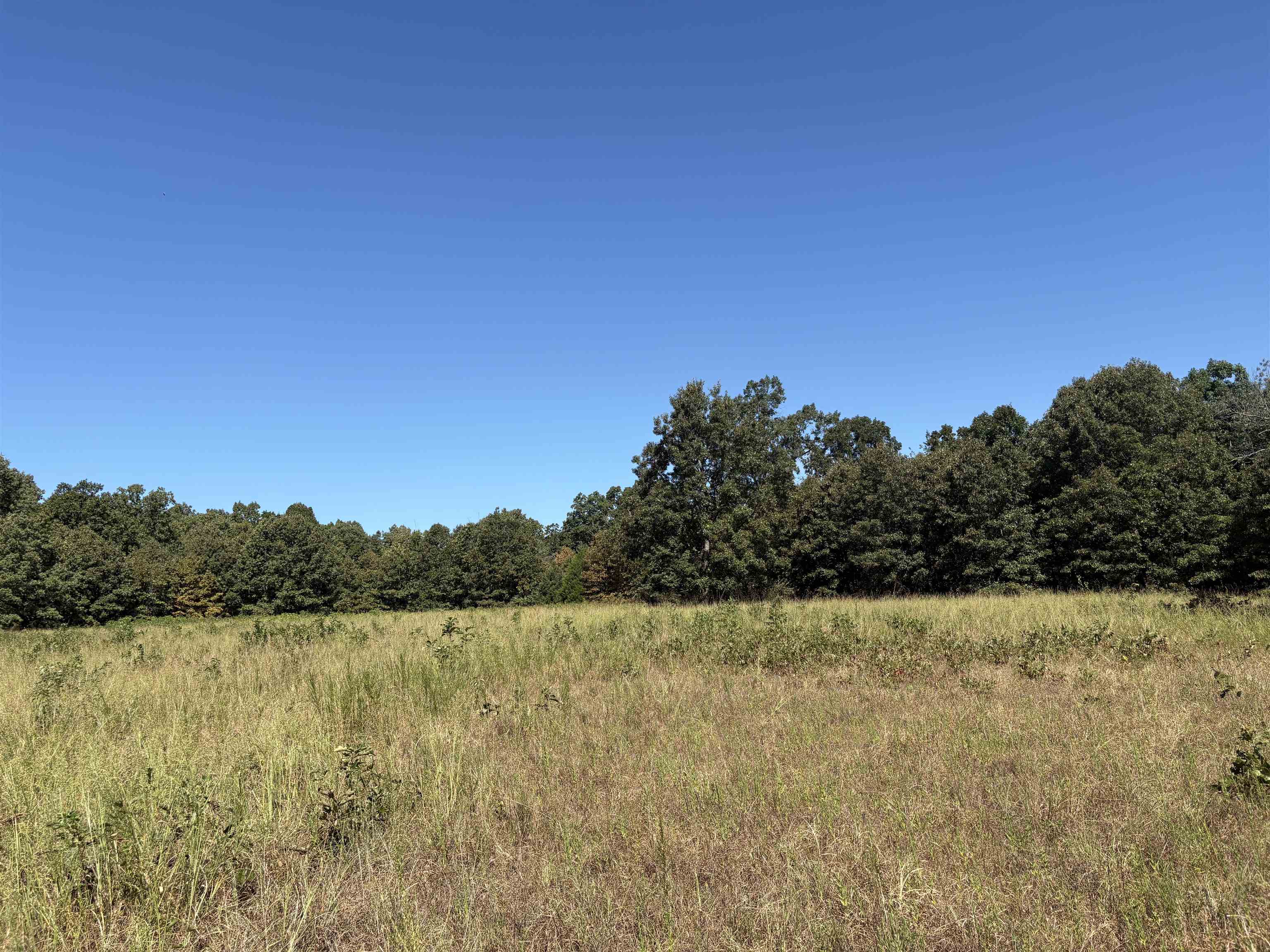 352 Hwy 62/412 Property Photo 43