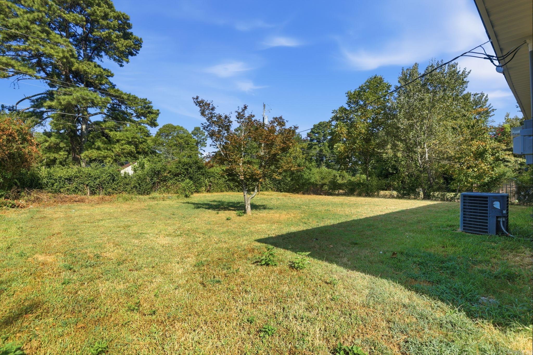 1117 Sorrells Street Property Photo 41