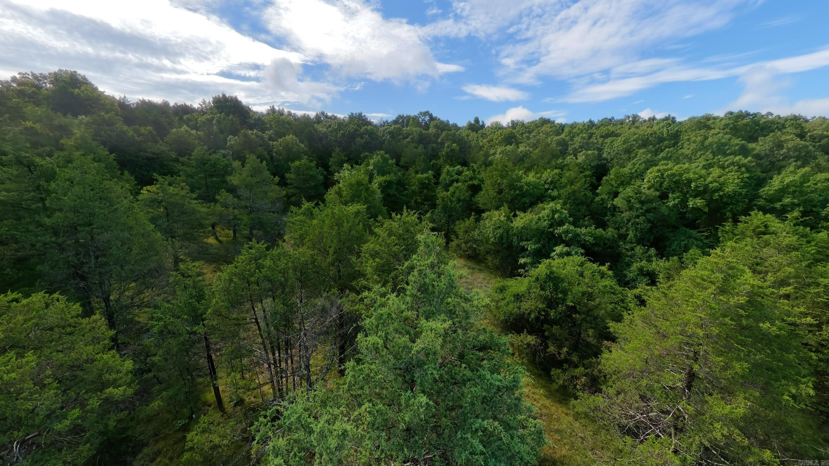 000 County Road 477 Property Photo 15