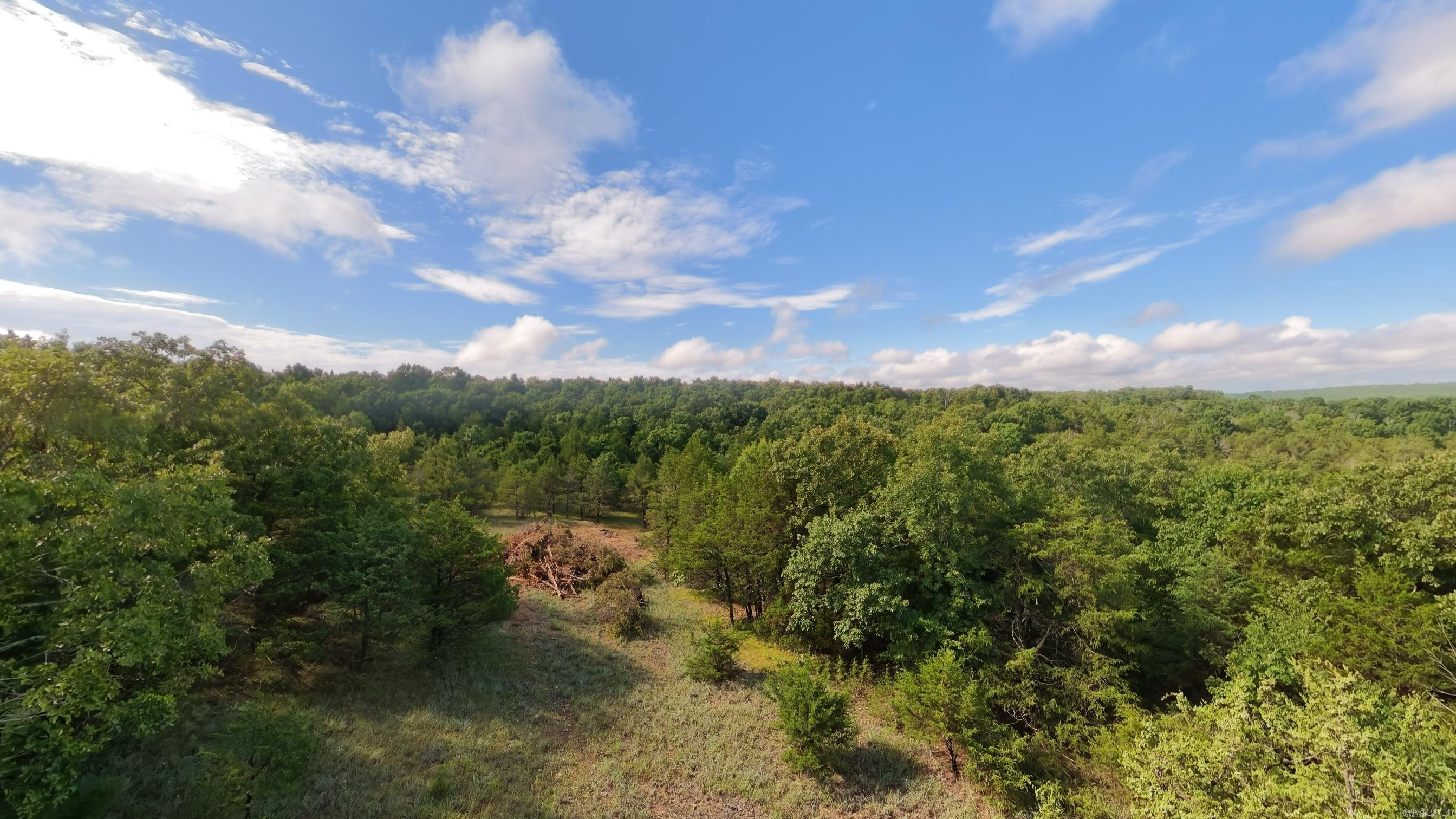 000 County Road 477 Property Photo 16