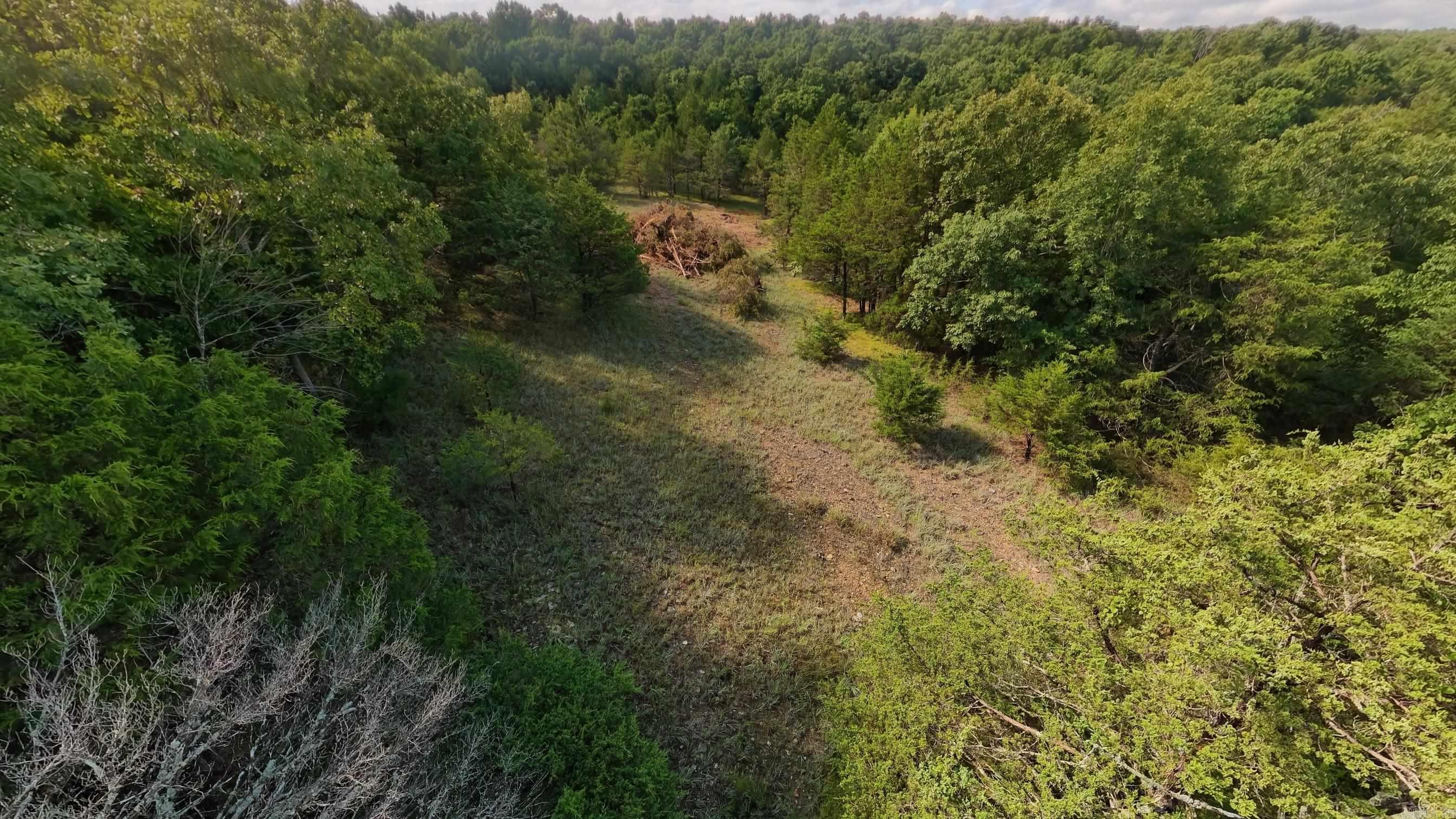 000 County Road 477 Property Photo 17