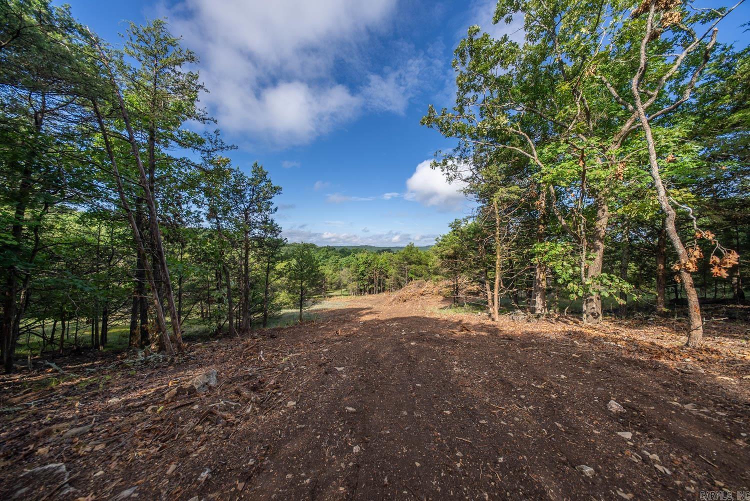 000 County Road 477 Property Photo 21