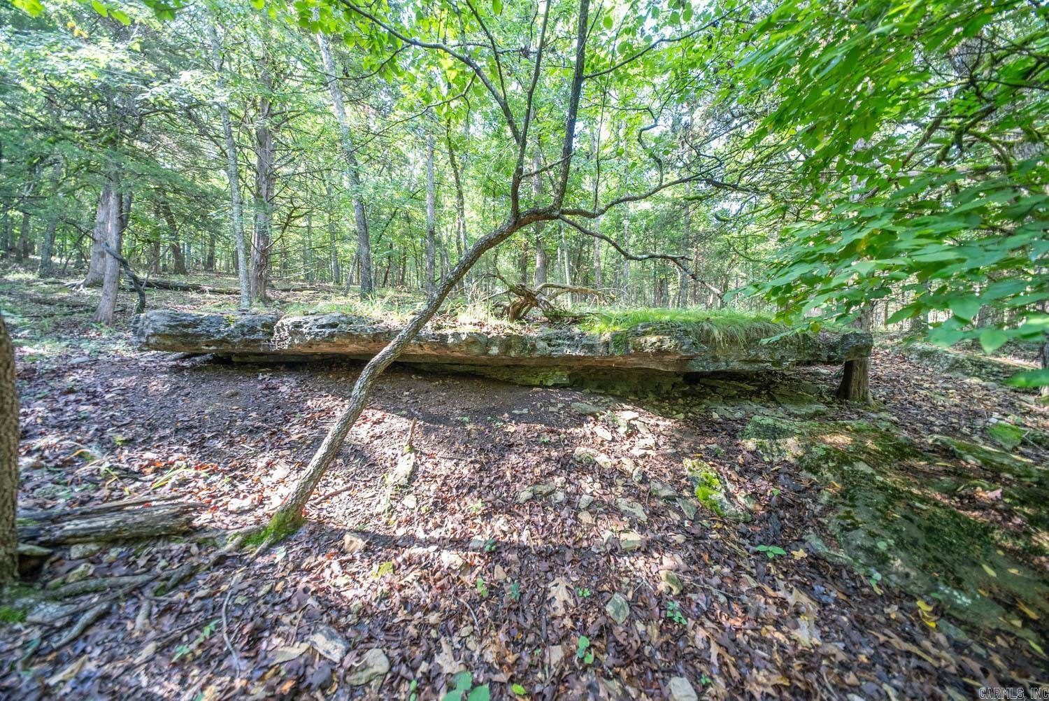 000 County Road 477 Property Photo 27