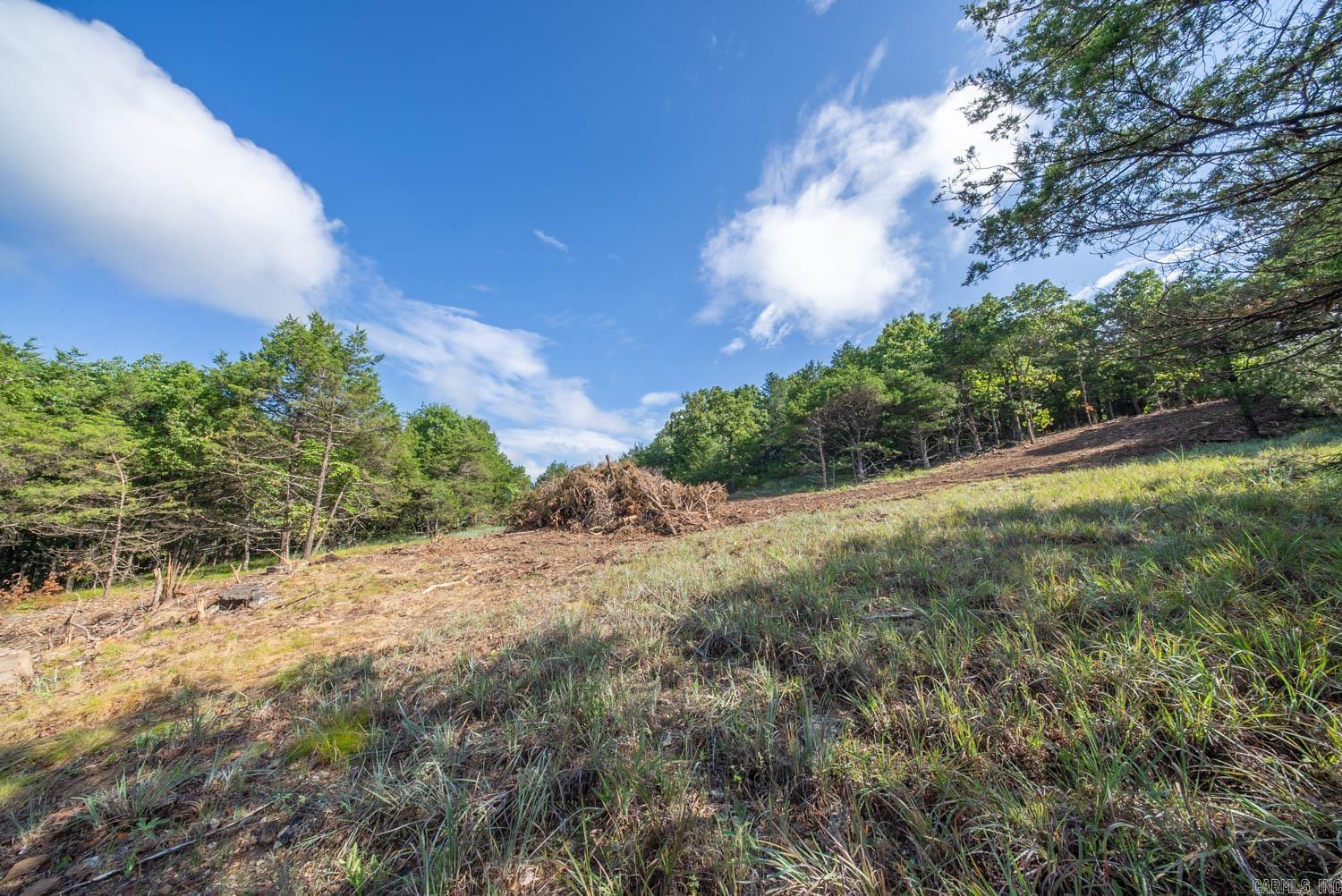 000 County Road 477 Property Photo 33
