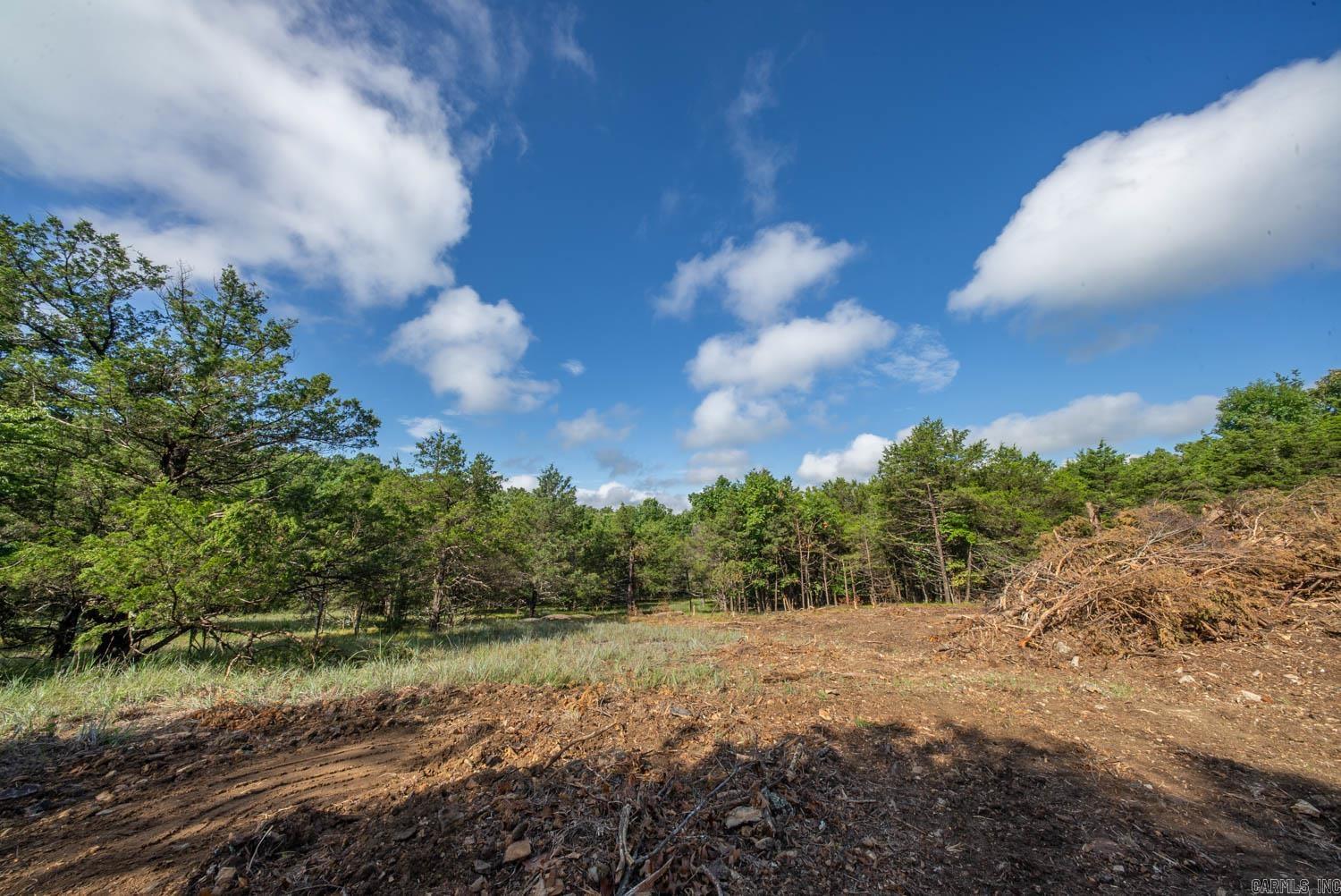 000 County Road 477 Property Photo 34