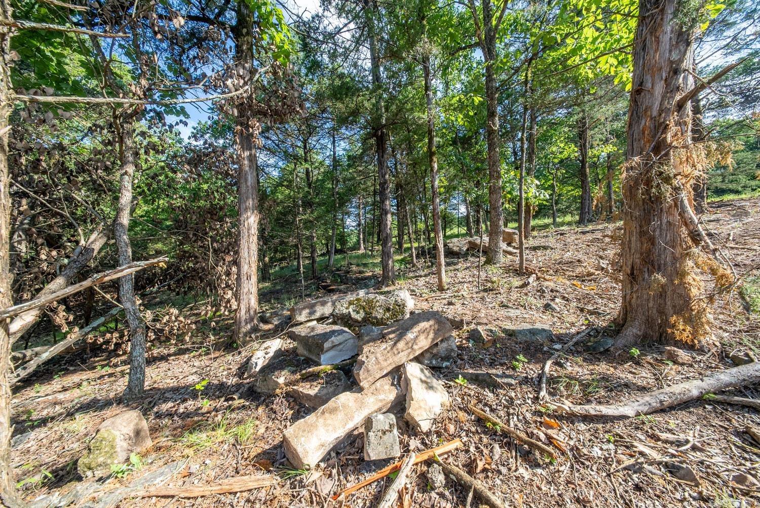 000 County Road 477 Property Photo 35