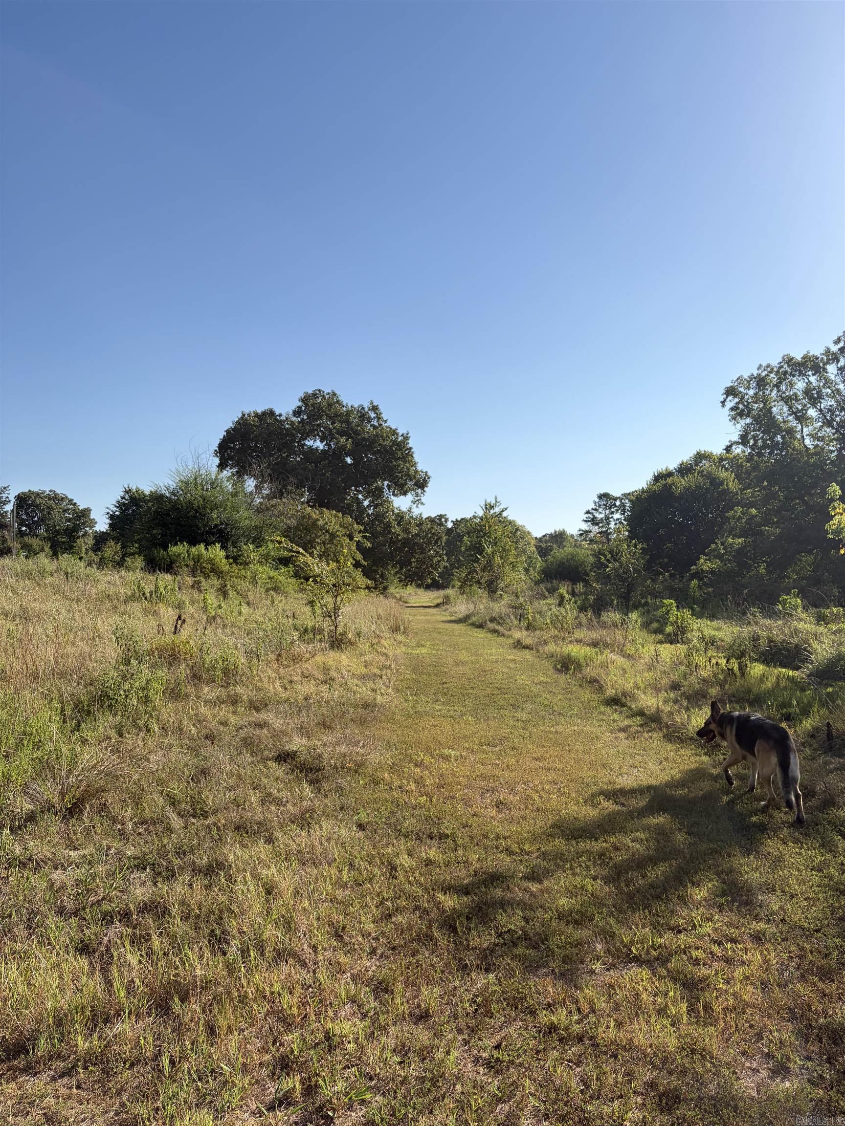 1355 W Highway 246 Property Photo 5