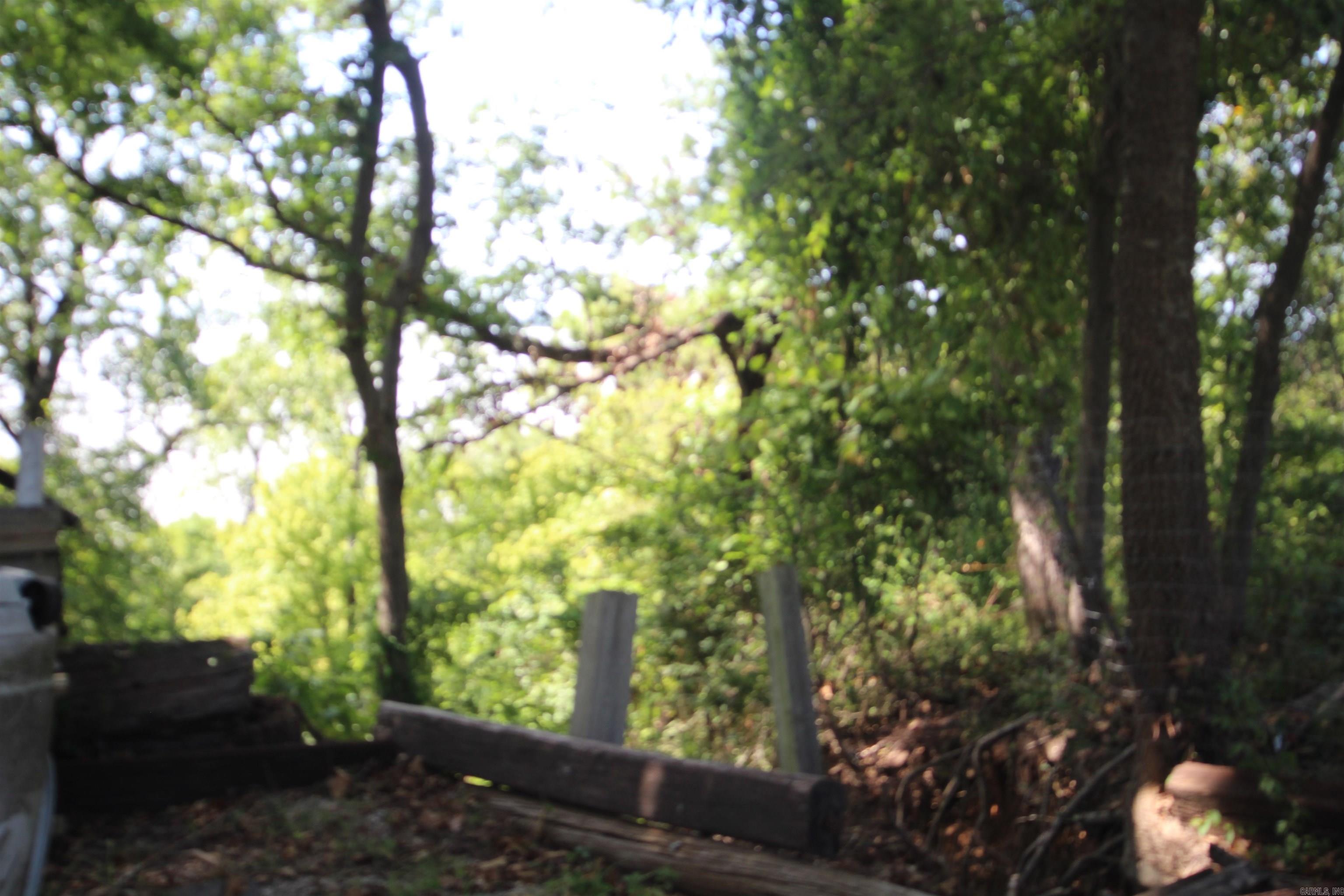 112 Lakefork Drive Property Photo 12