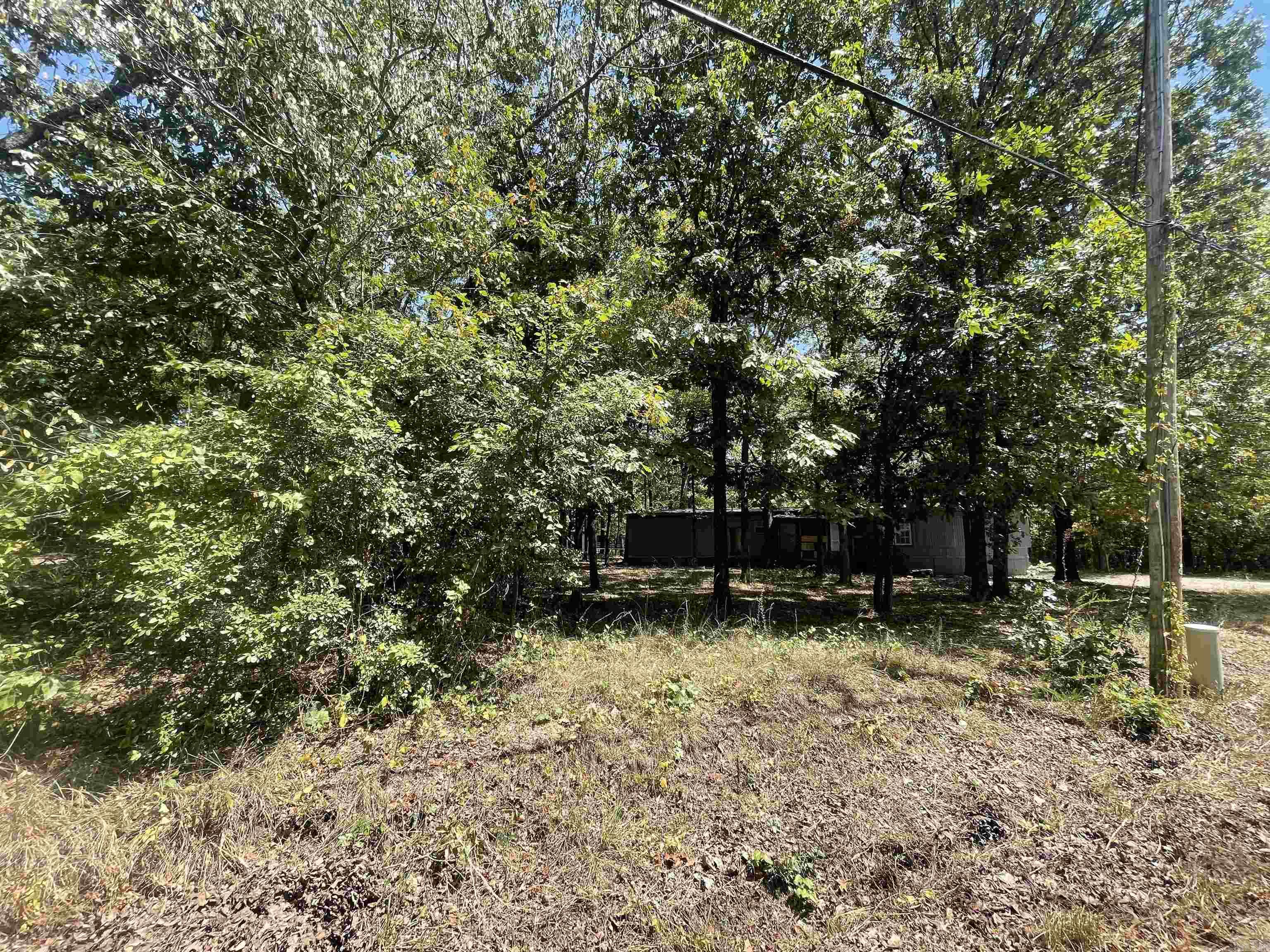 1001 N Eve Street Property Photo 14