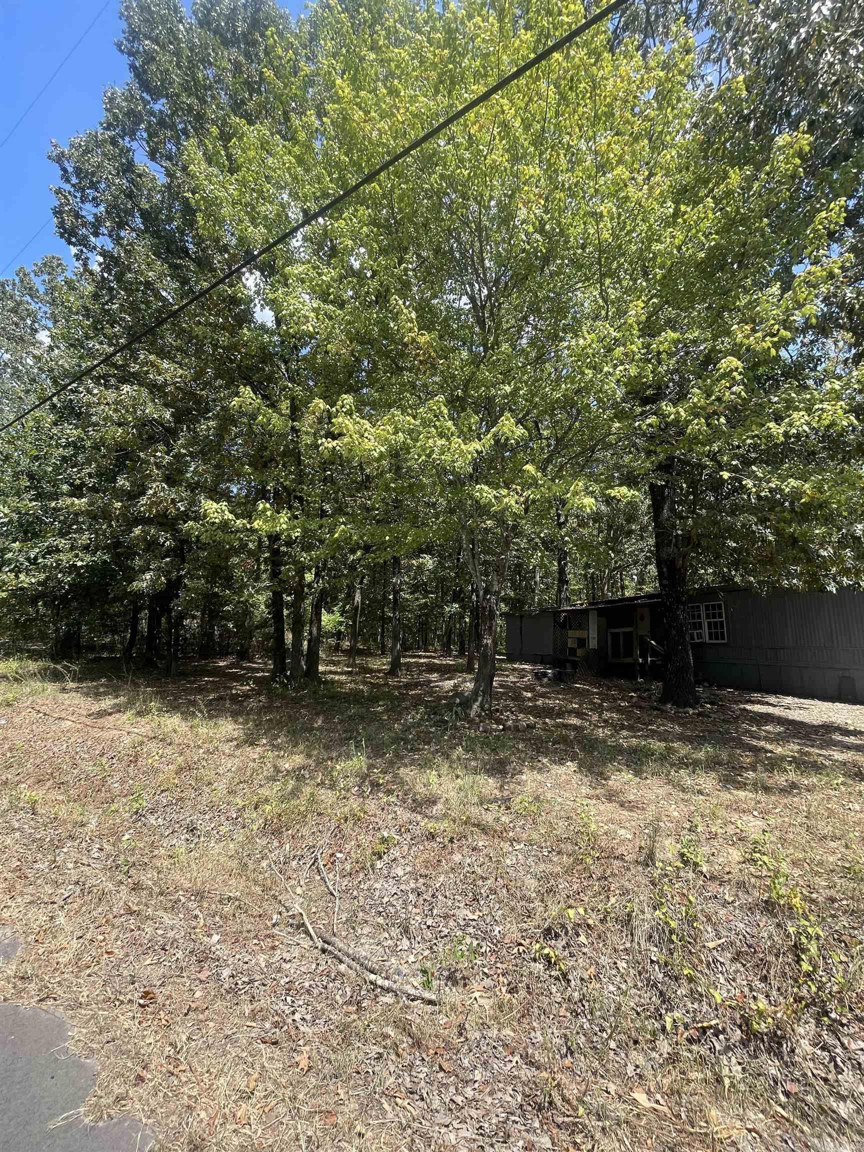 1001 N Eve Street Property Photo 15