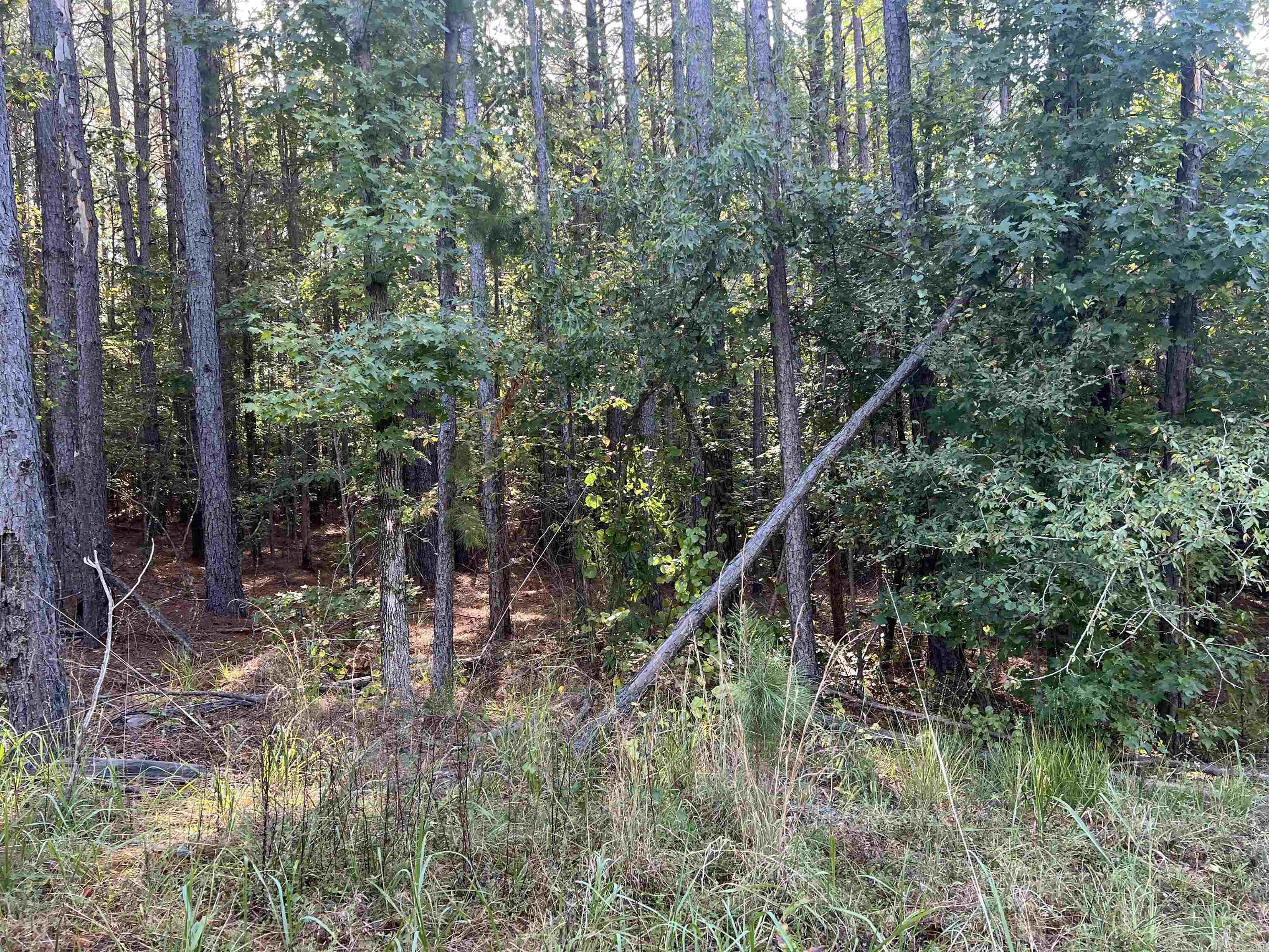 Xx 1 & 2 Rosboro Loop Property Photo 1