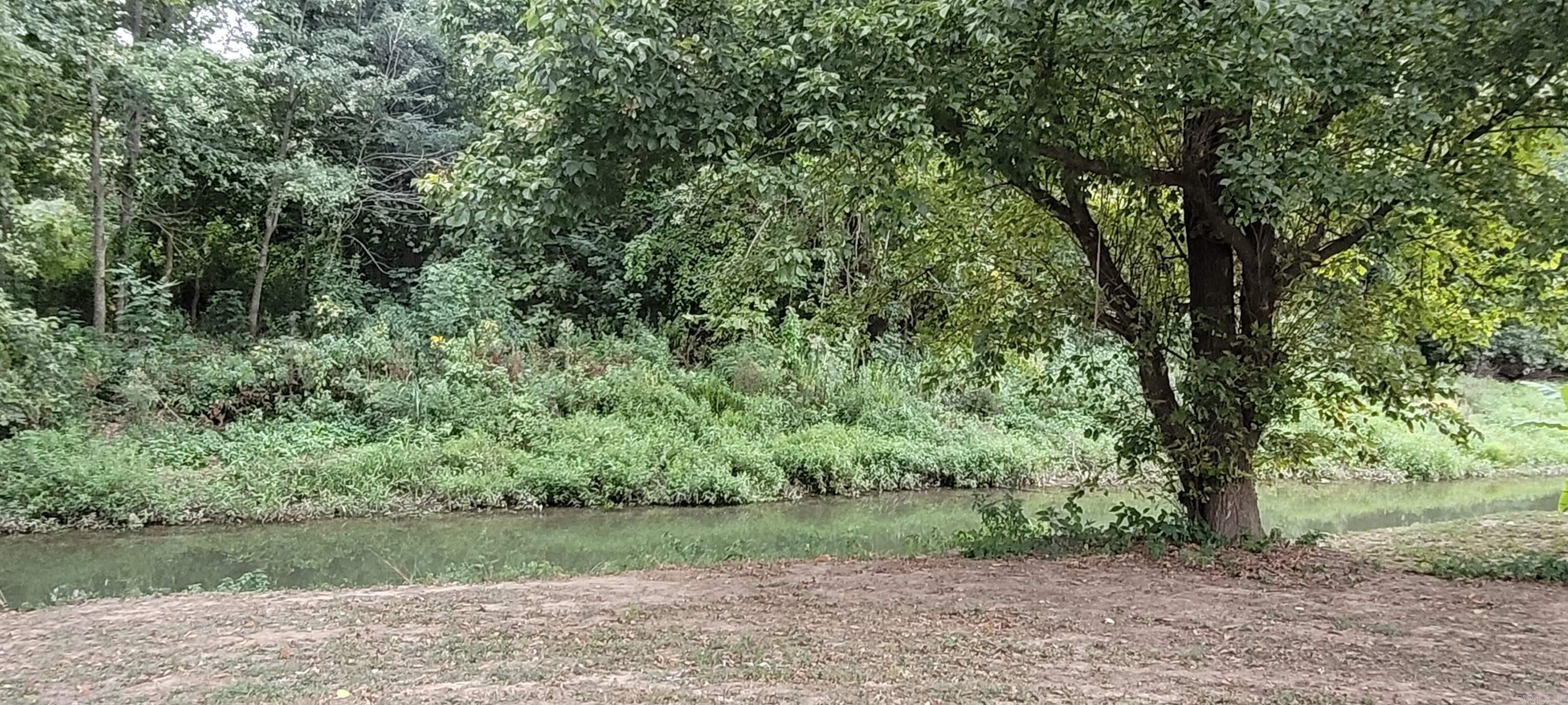 106 White River Run Property Photo 23
