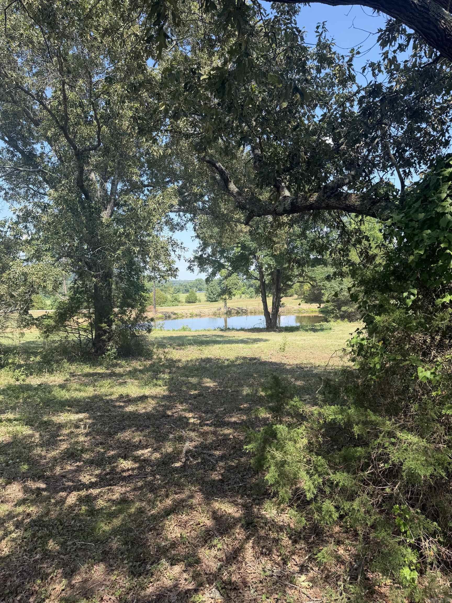 100 Mcclatchy Ln Property Photo 2
