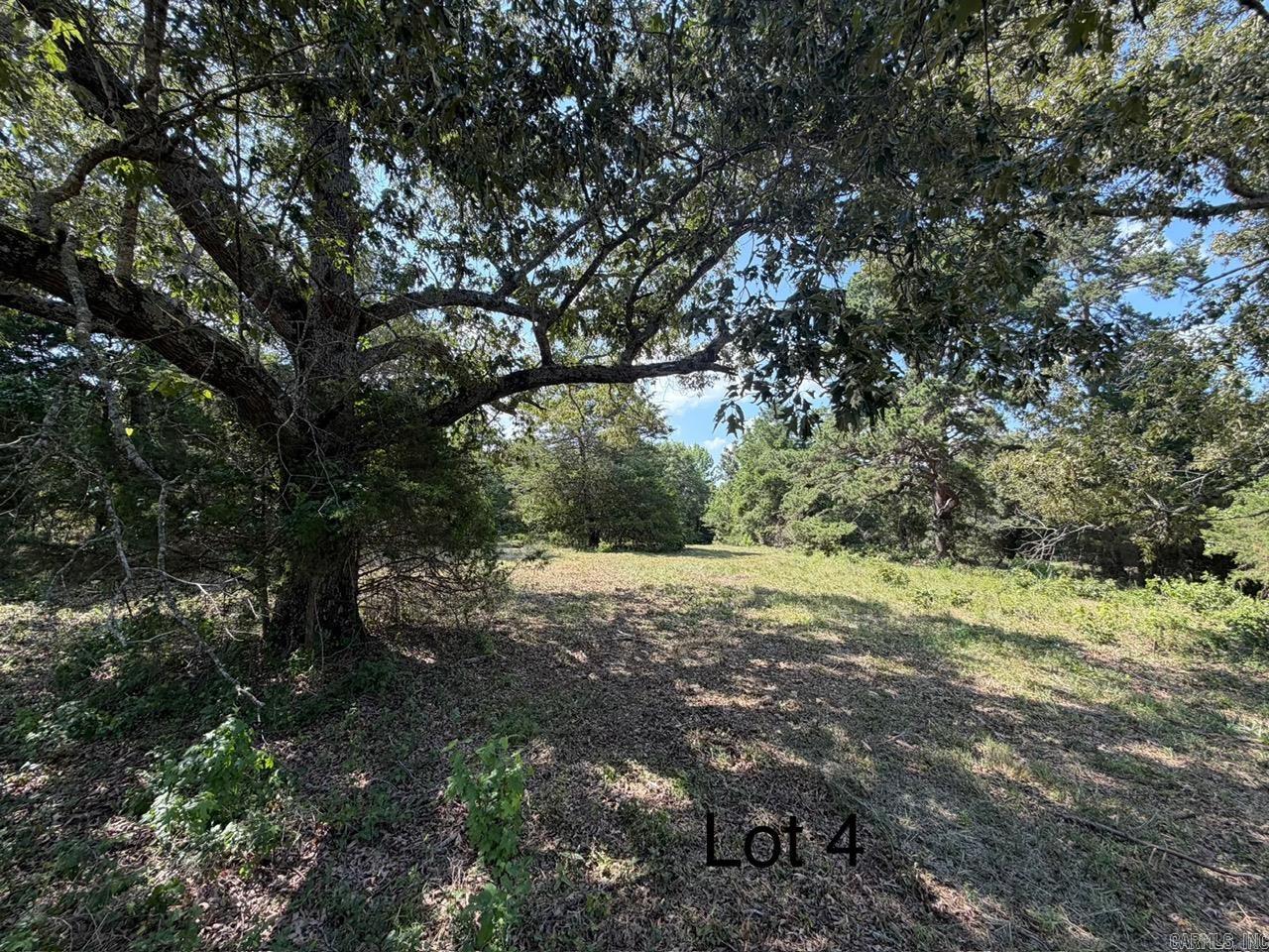 100 Mcclatchy Ln Property Photo 3