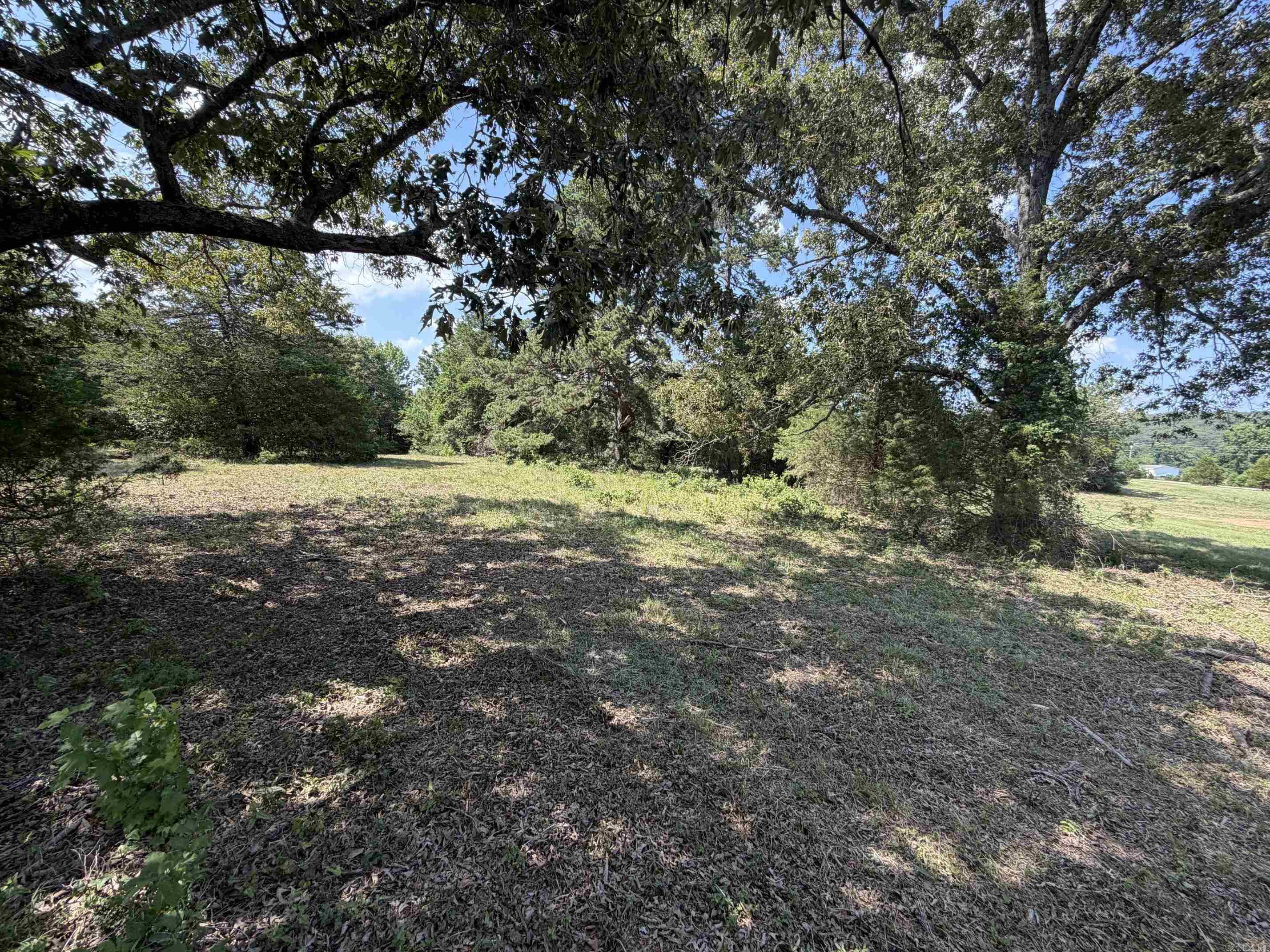 100 Mcclatchy Ln Property Photo 4