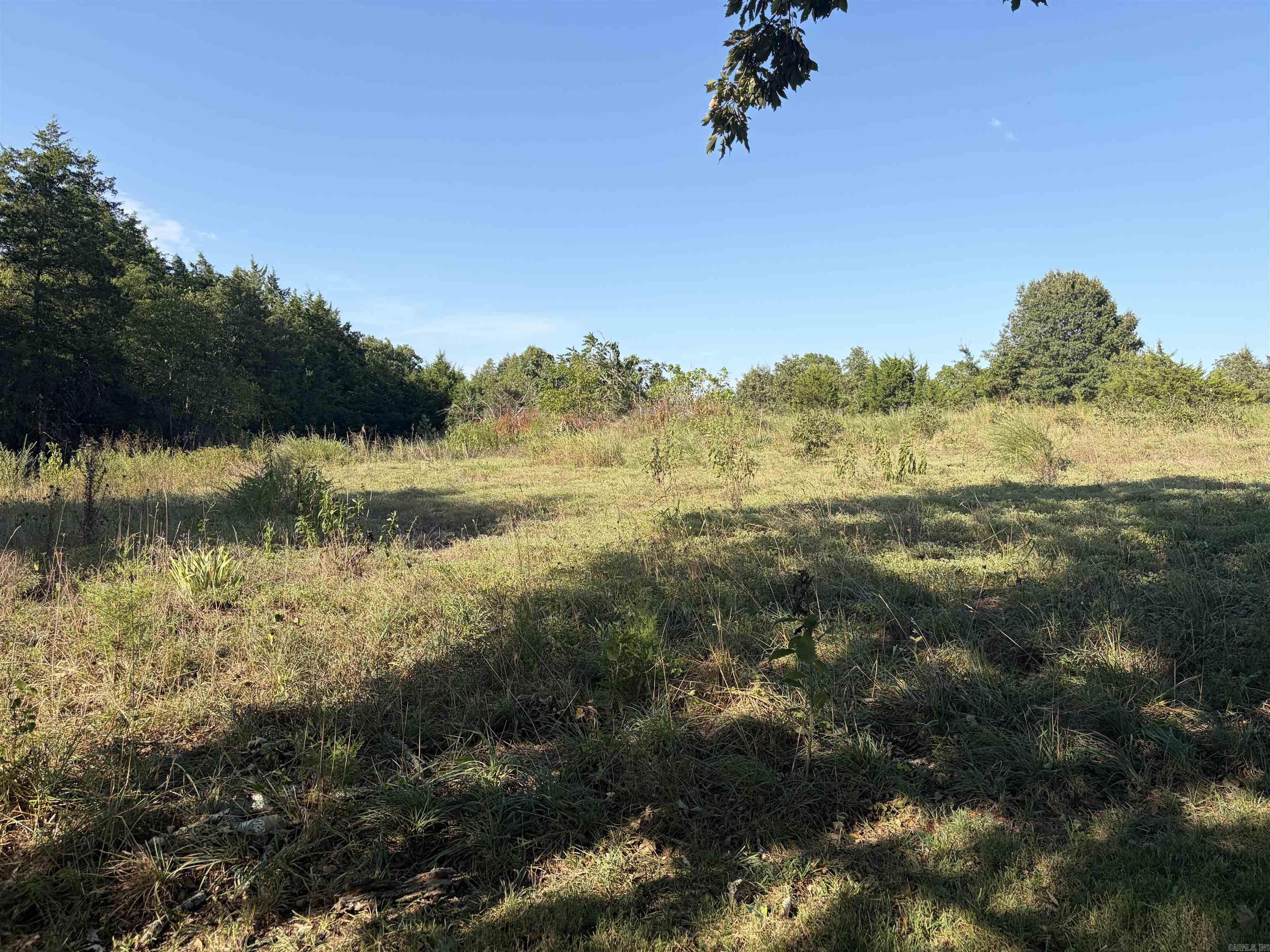 8951 Mount Calm Road Property Photo 8