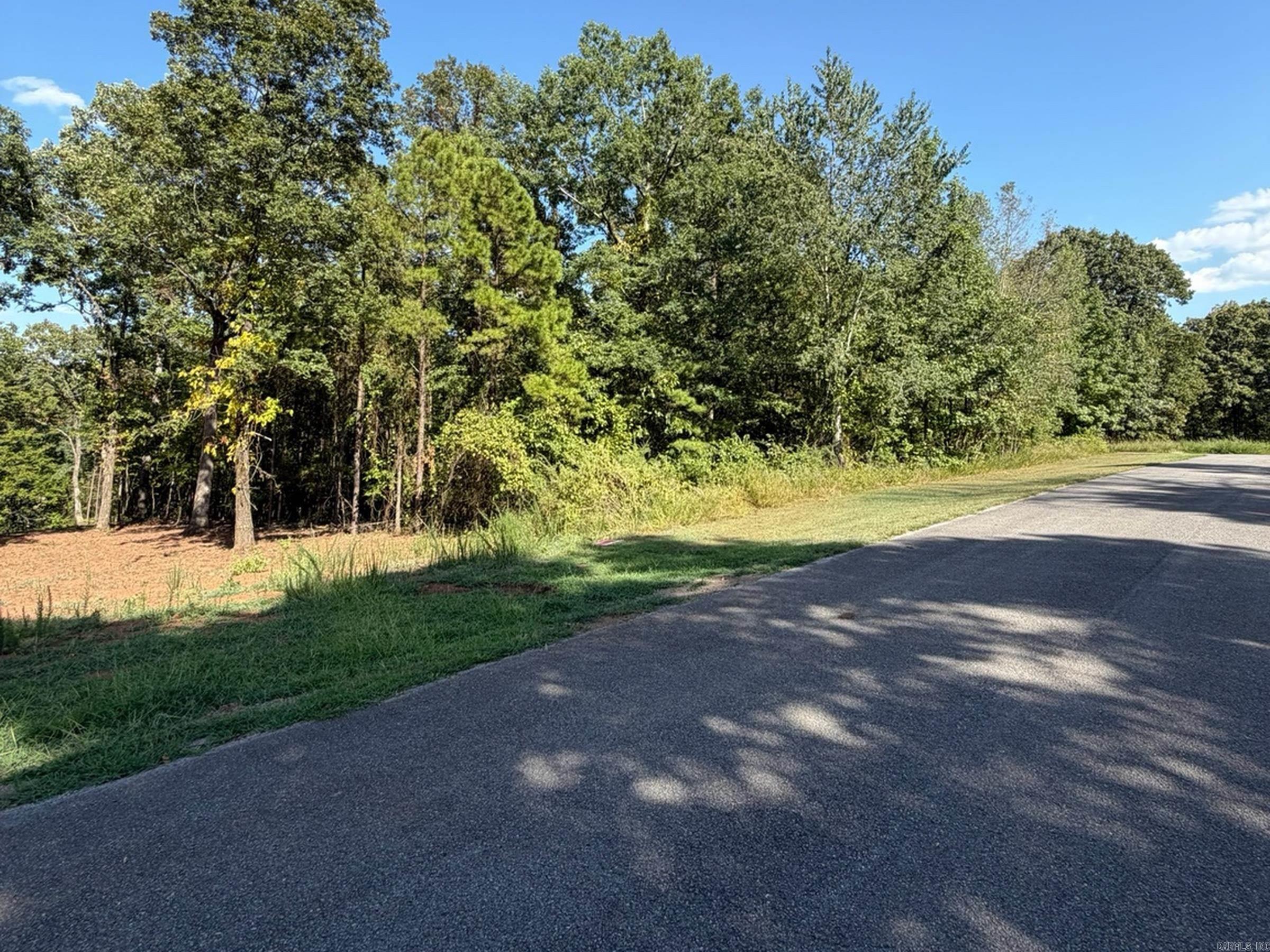 Lot 75 Cobalt Bay Dr. Property Photo 7