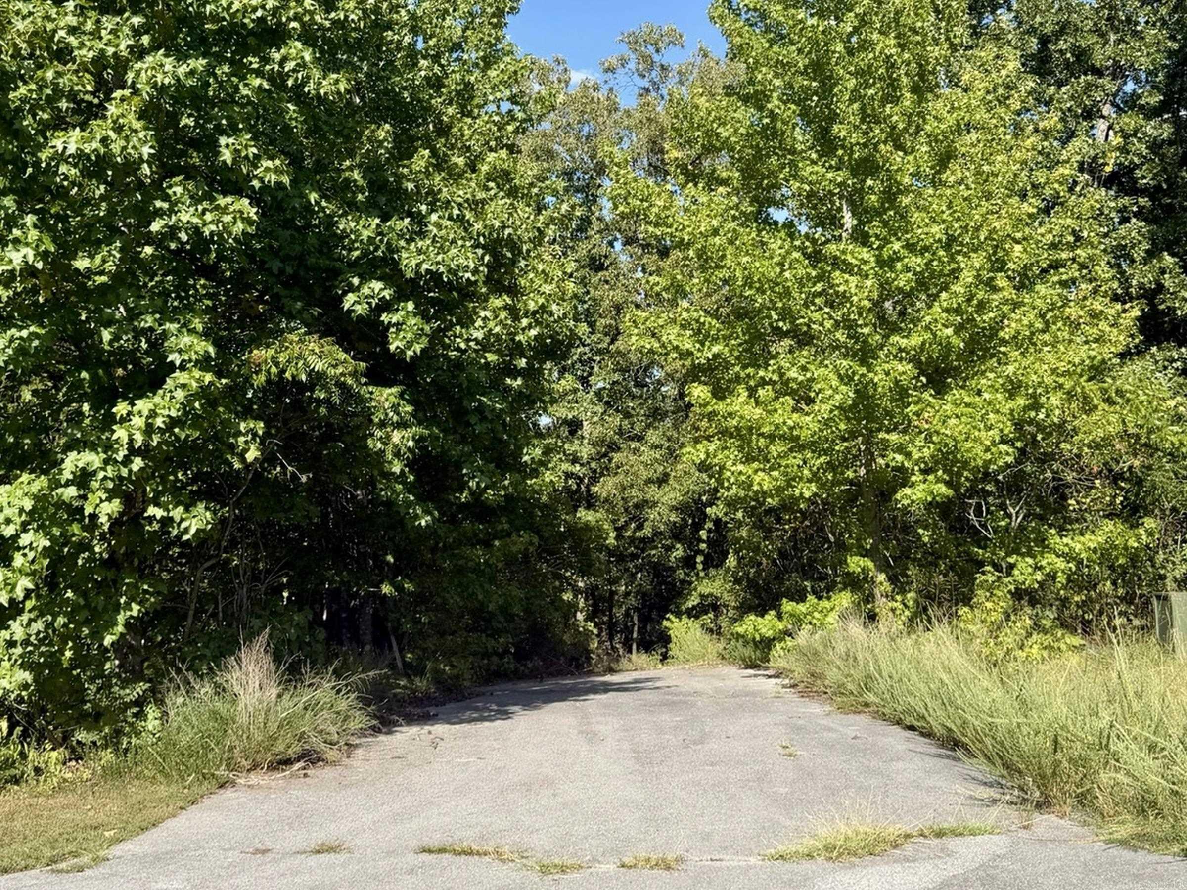 Lot 75 Cobalt Bay Dr. Property Photo 8