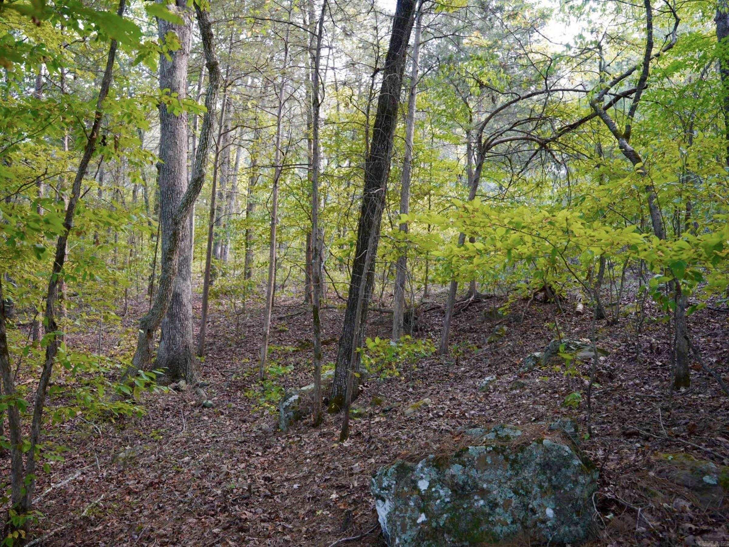 Lot 75 Cobalt Bay Dr. Property Photo 9