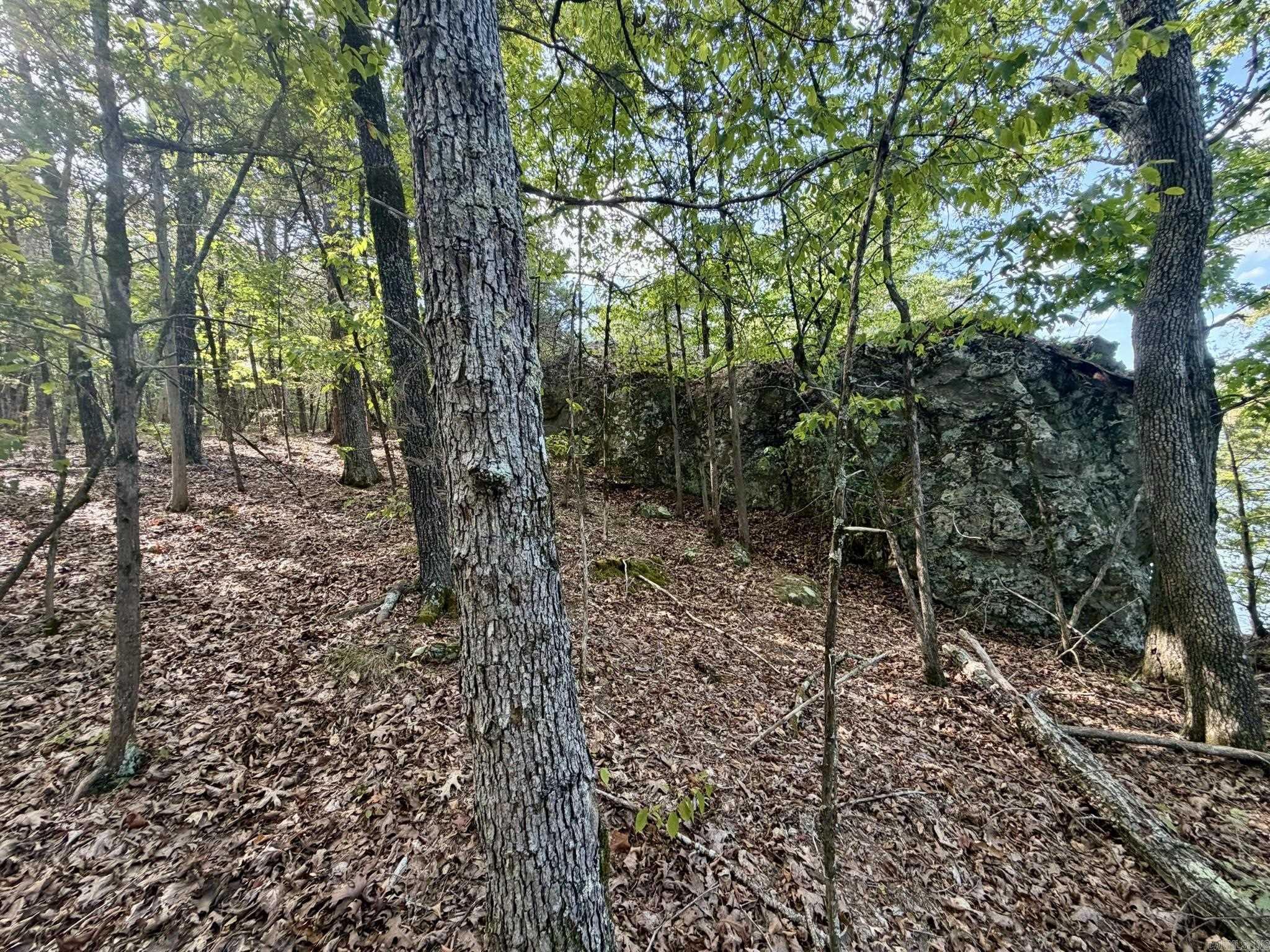 Lot 75 Cobalt Bay Dr. Property Photo 11