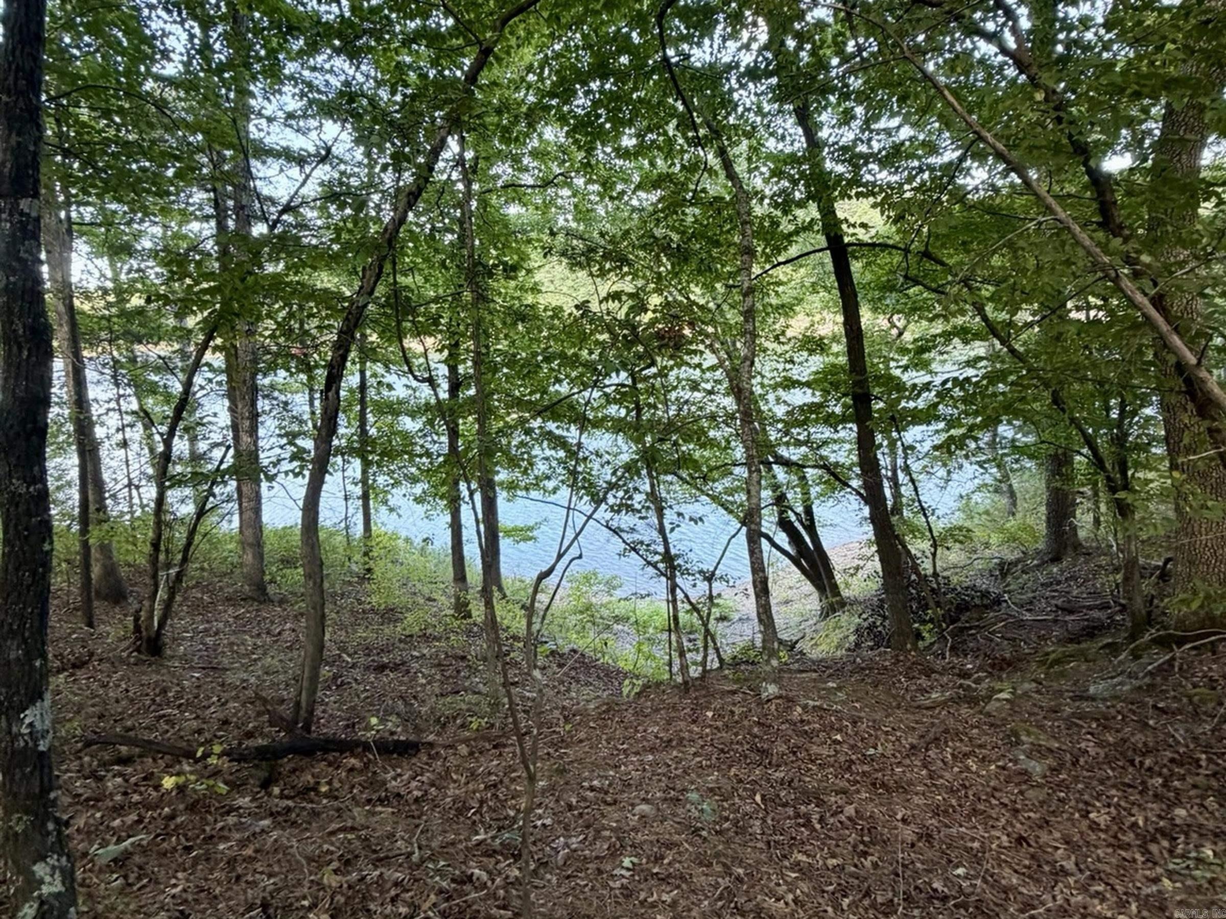 Lot 75 Cobalt Bay Dr. Property Photo 12